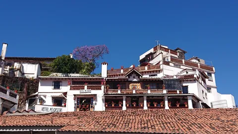 Restaurant Cafetería del Convento image 5