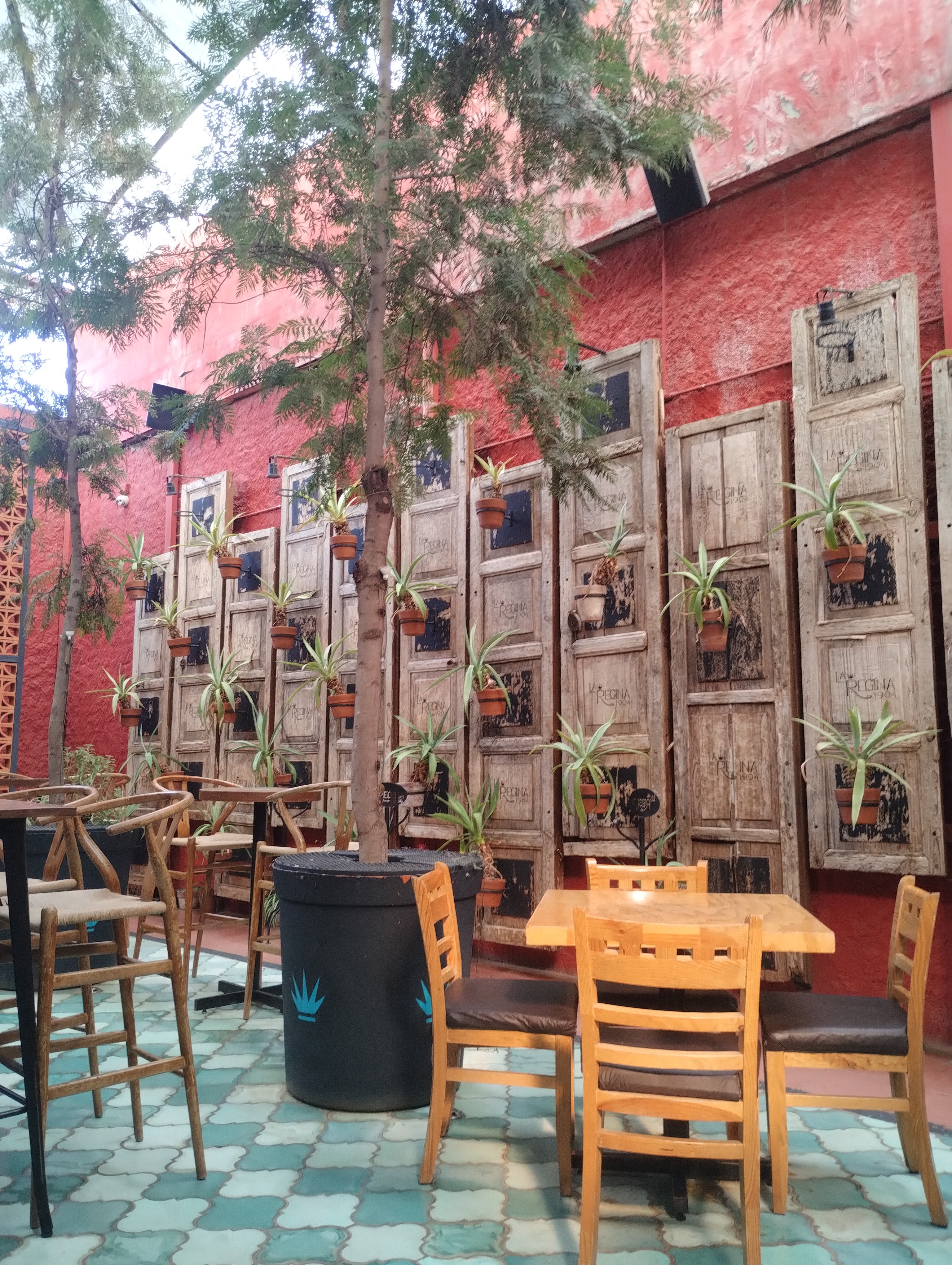 La Regina 1904 image 1