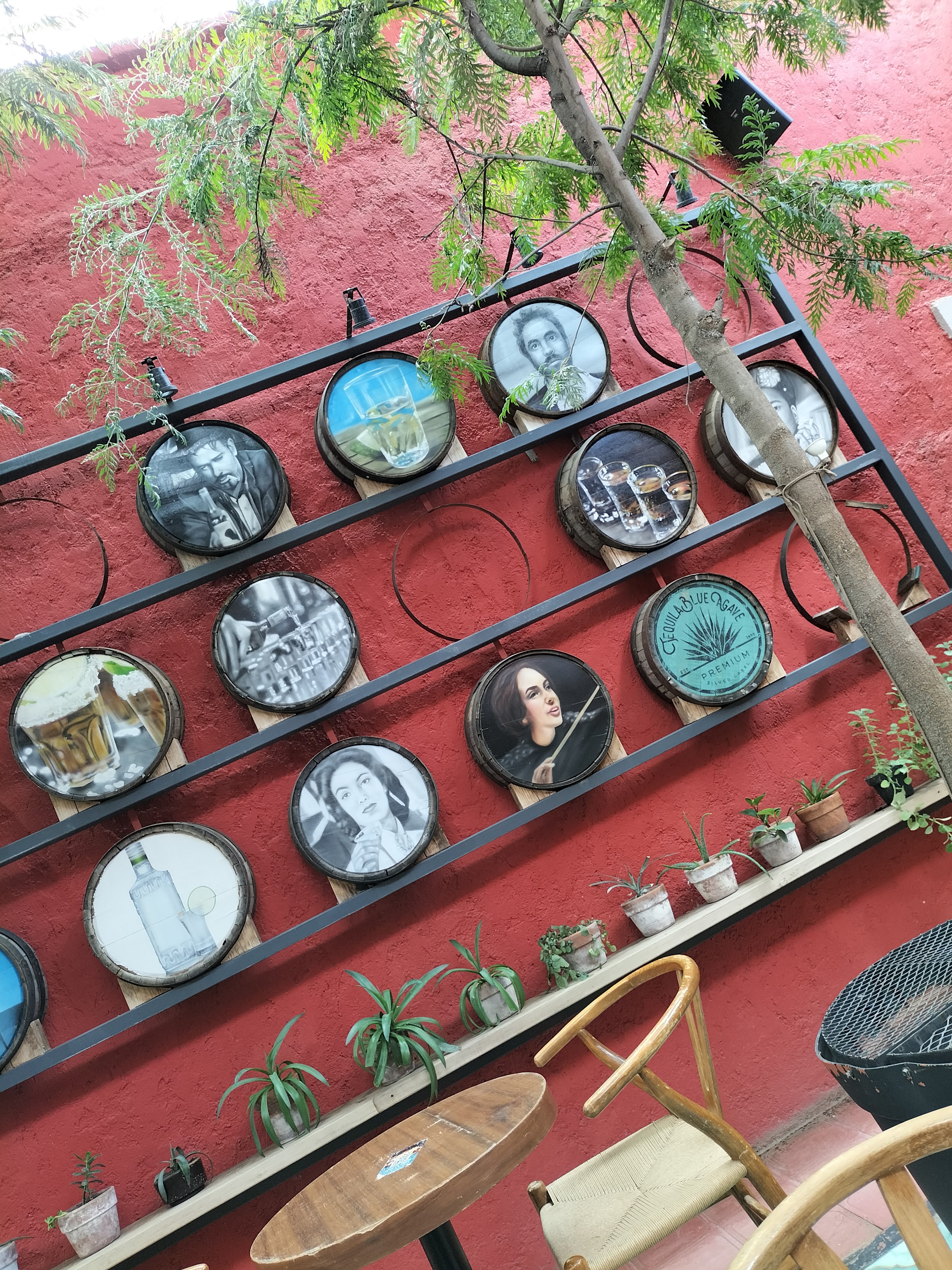 La Regina 1904 image 9