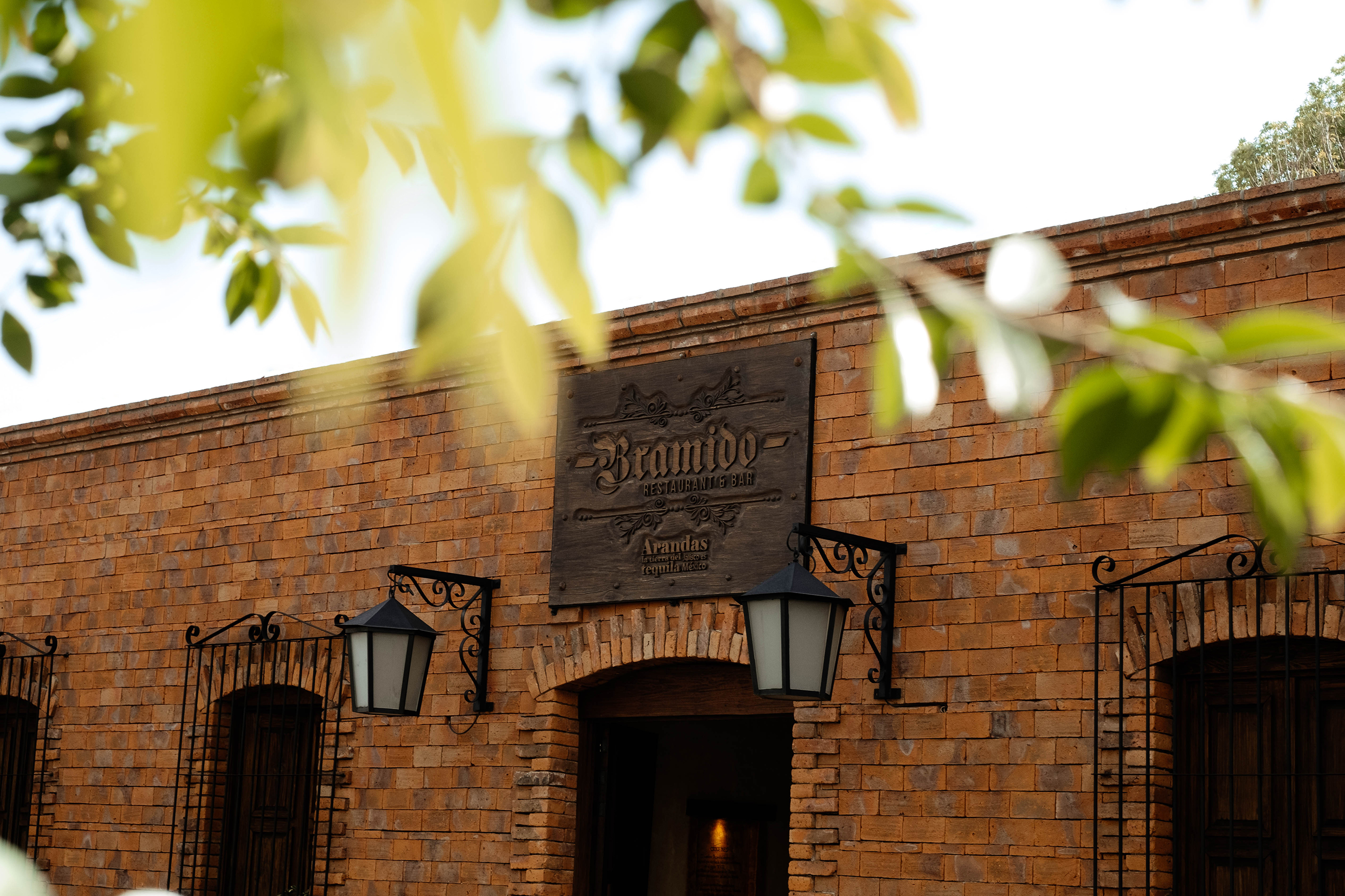 BRAMIDO Arandas image 4