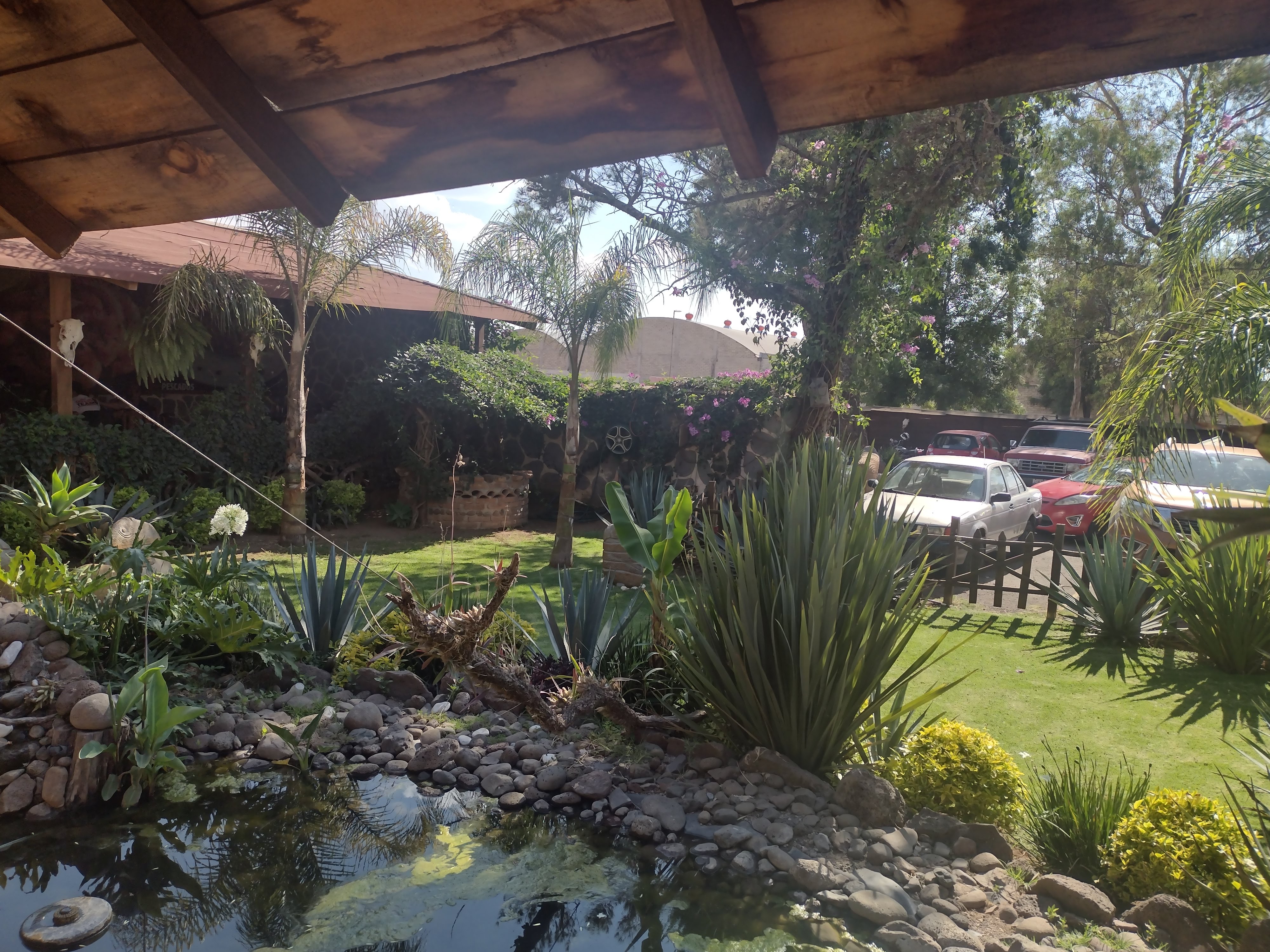 MR FISH ARANDAS image 3