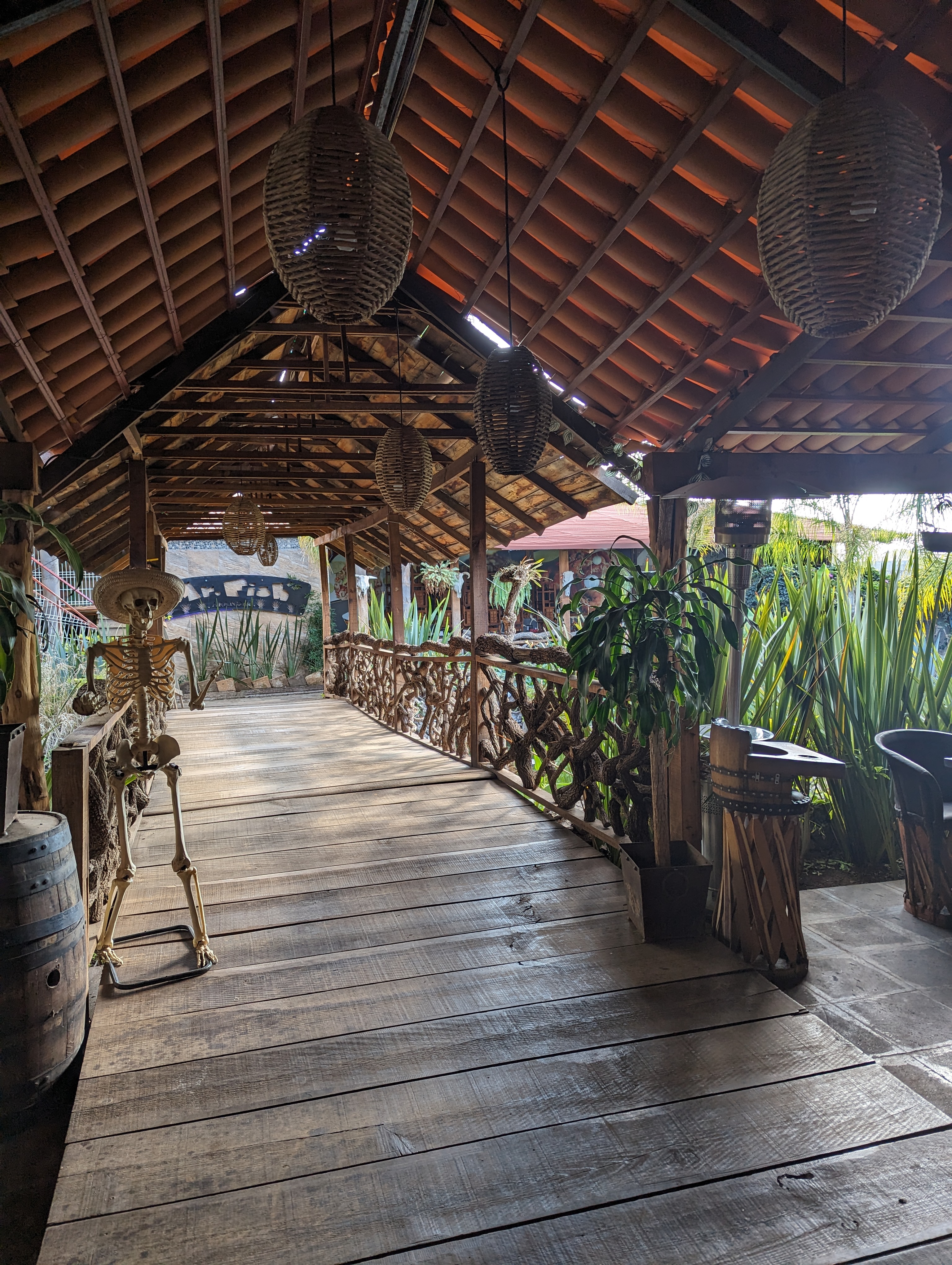 MR FISH ARANDAS image 4