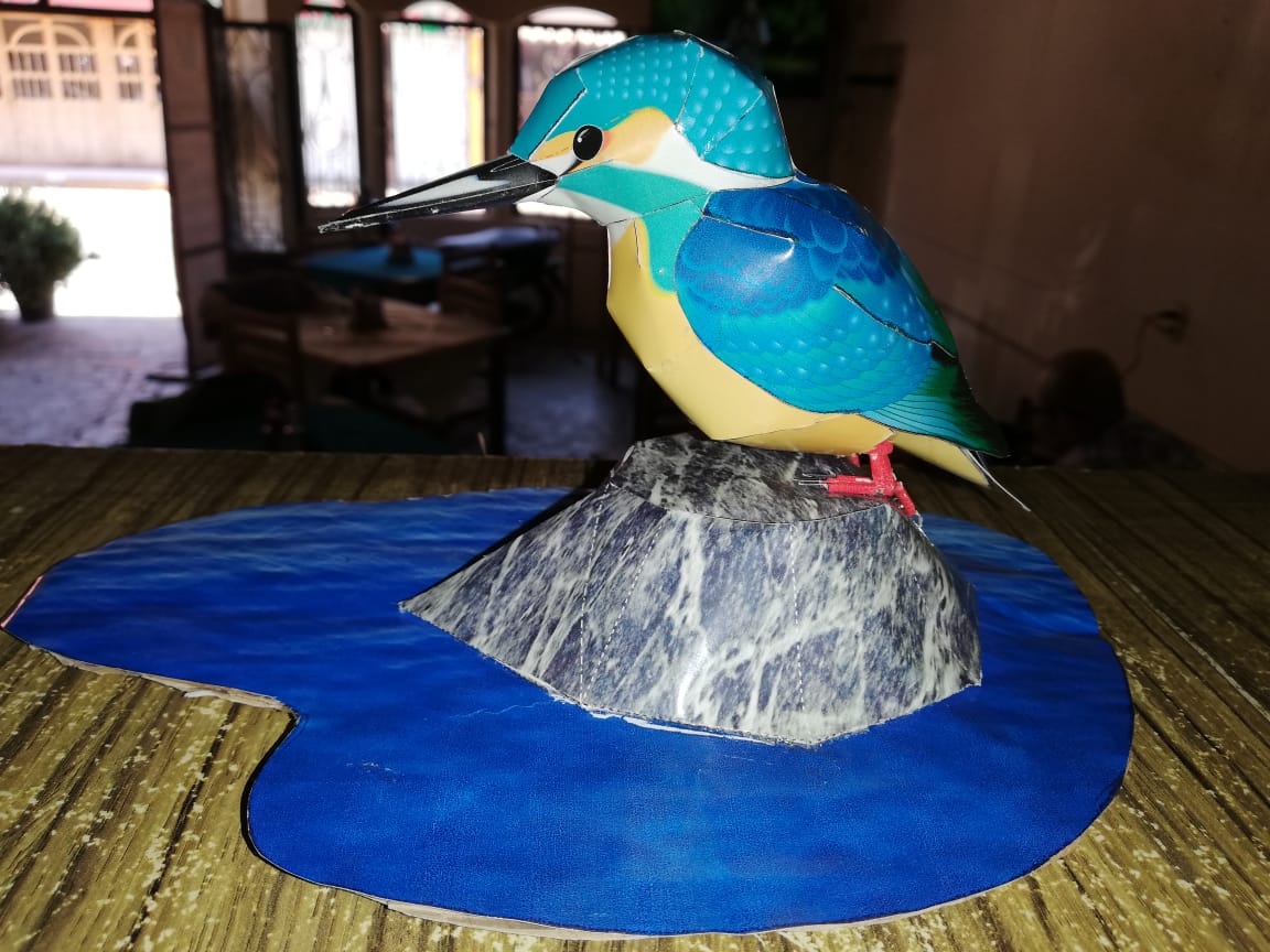 Martín Pescador image 6