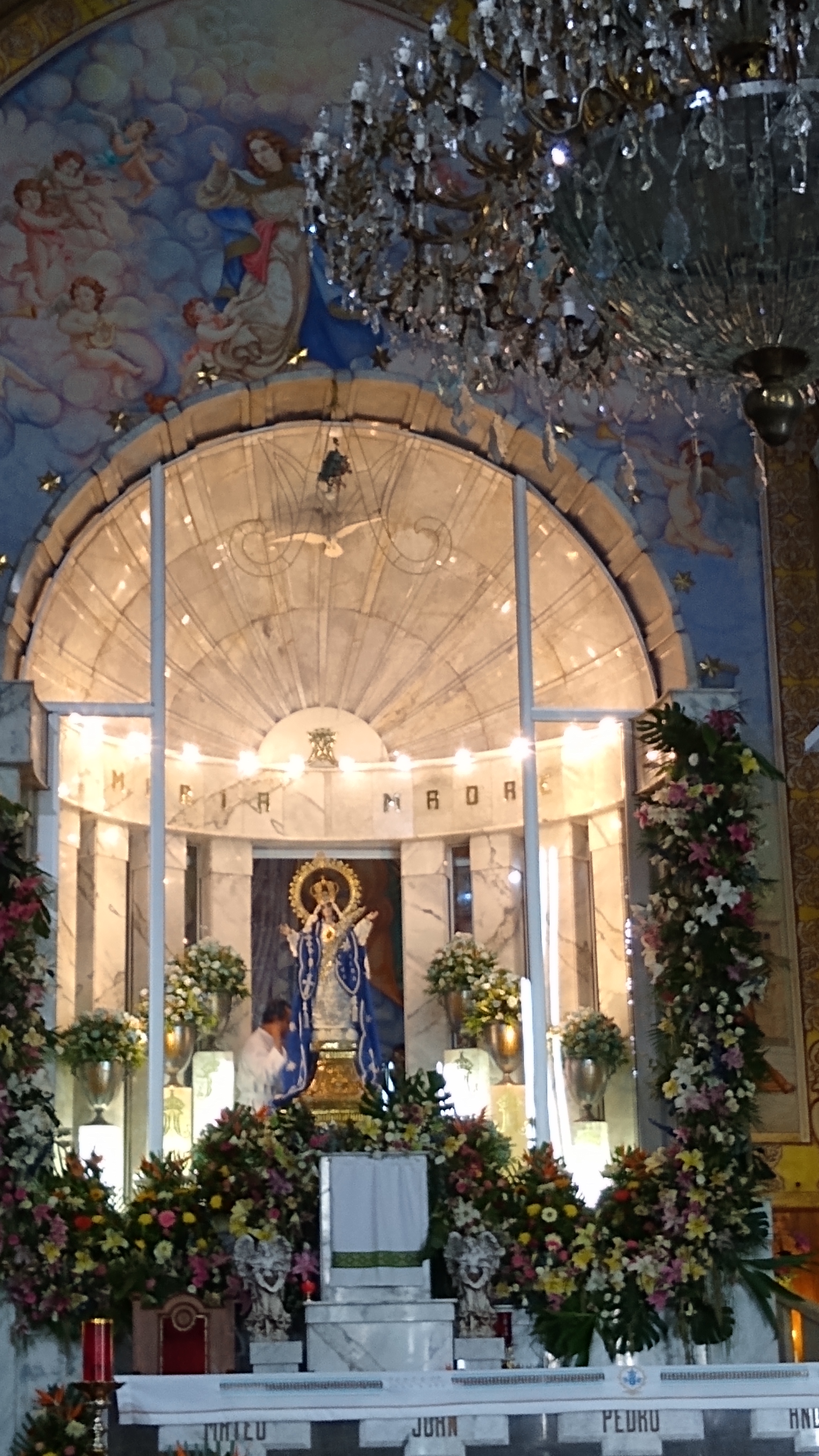 Taquería Don Cuco image 5