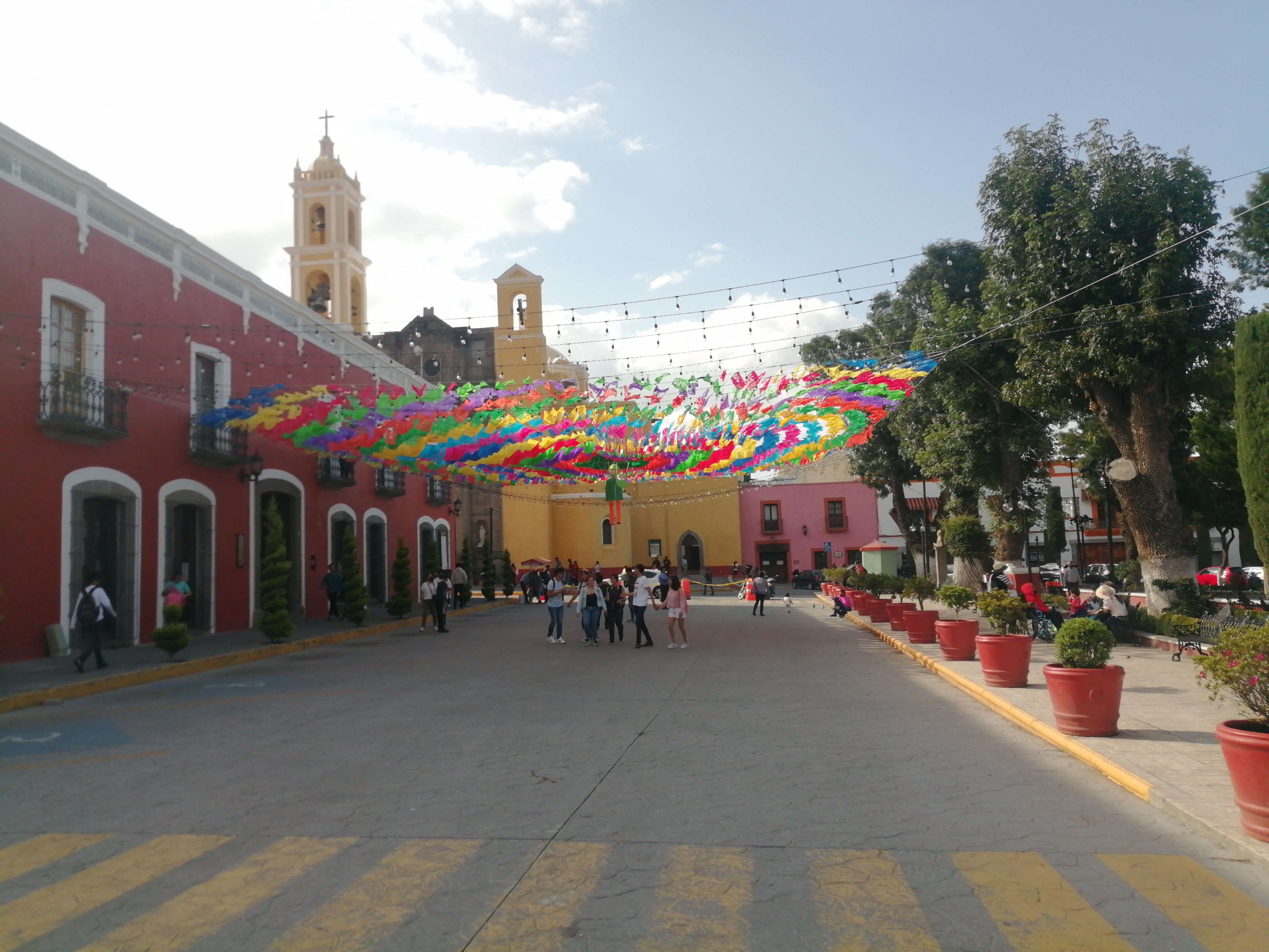 Maxi Tortas :v image 3