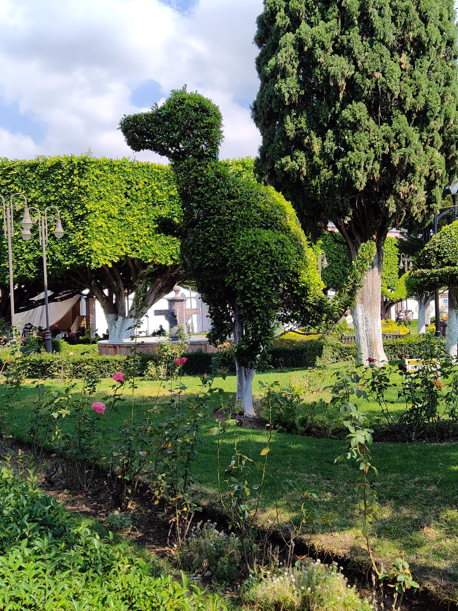 Los Pinitos image 9
