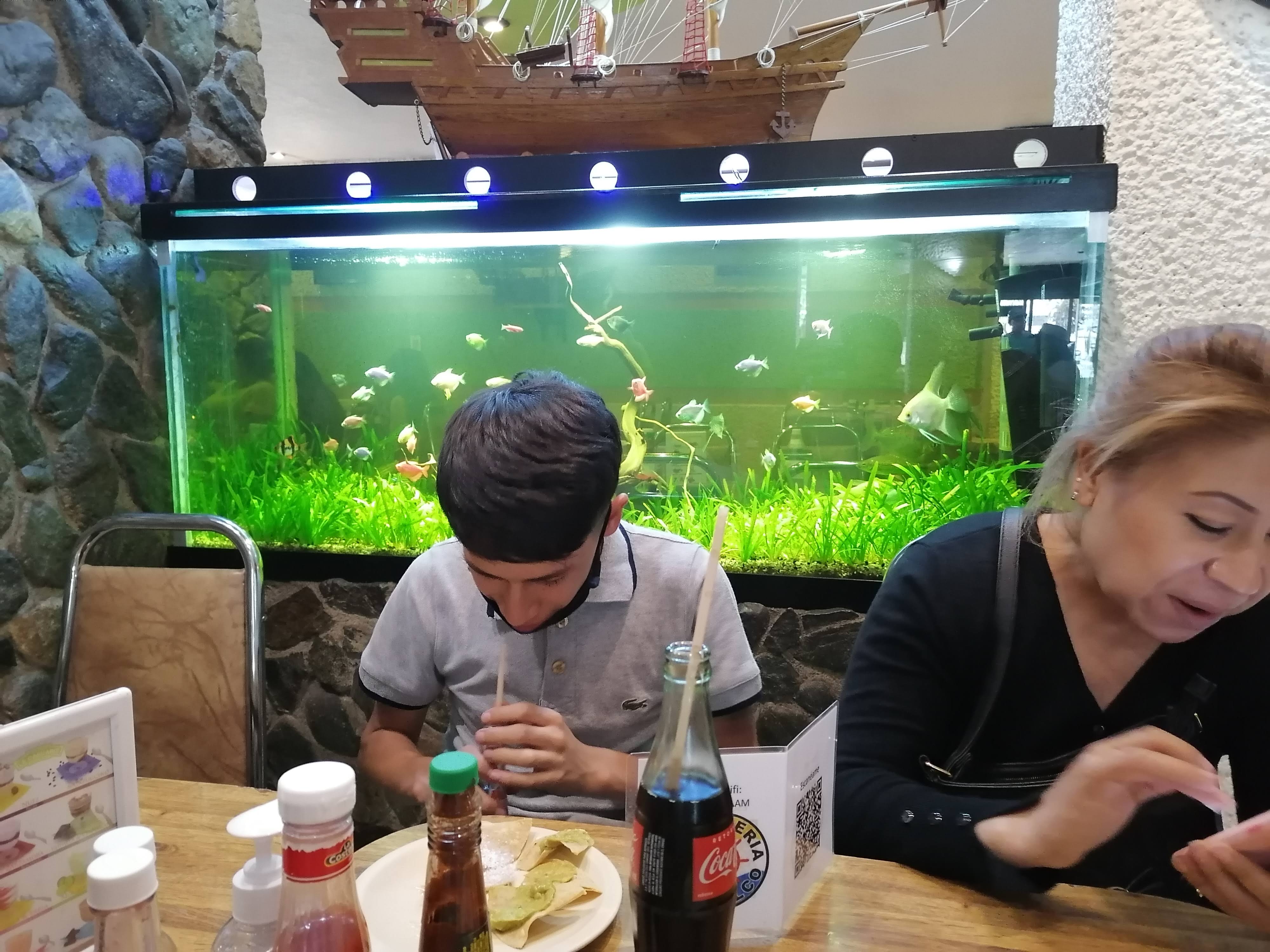 Ostionería Acapulco image 6