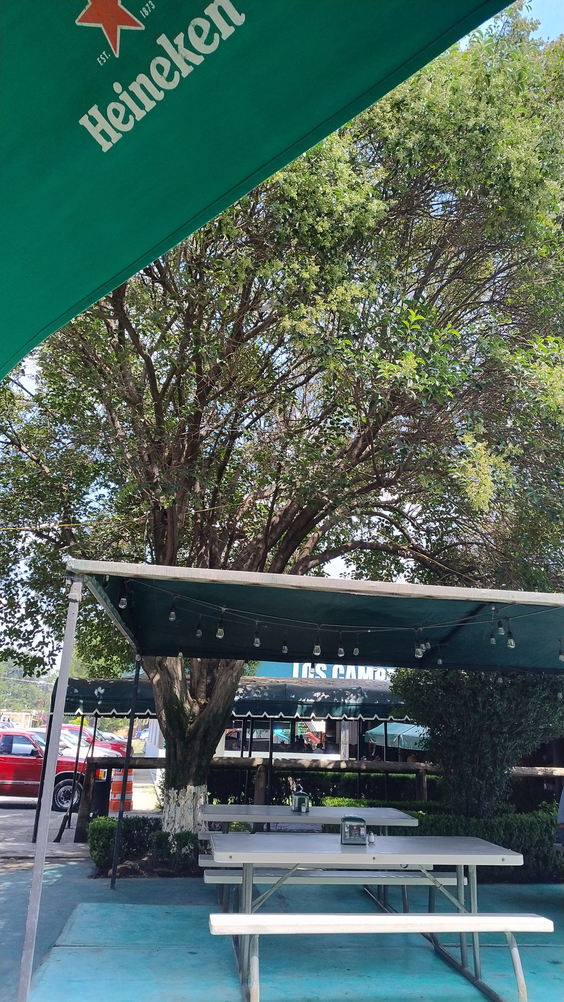 Los CamperosRE image 7