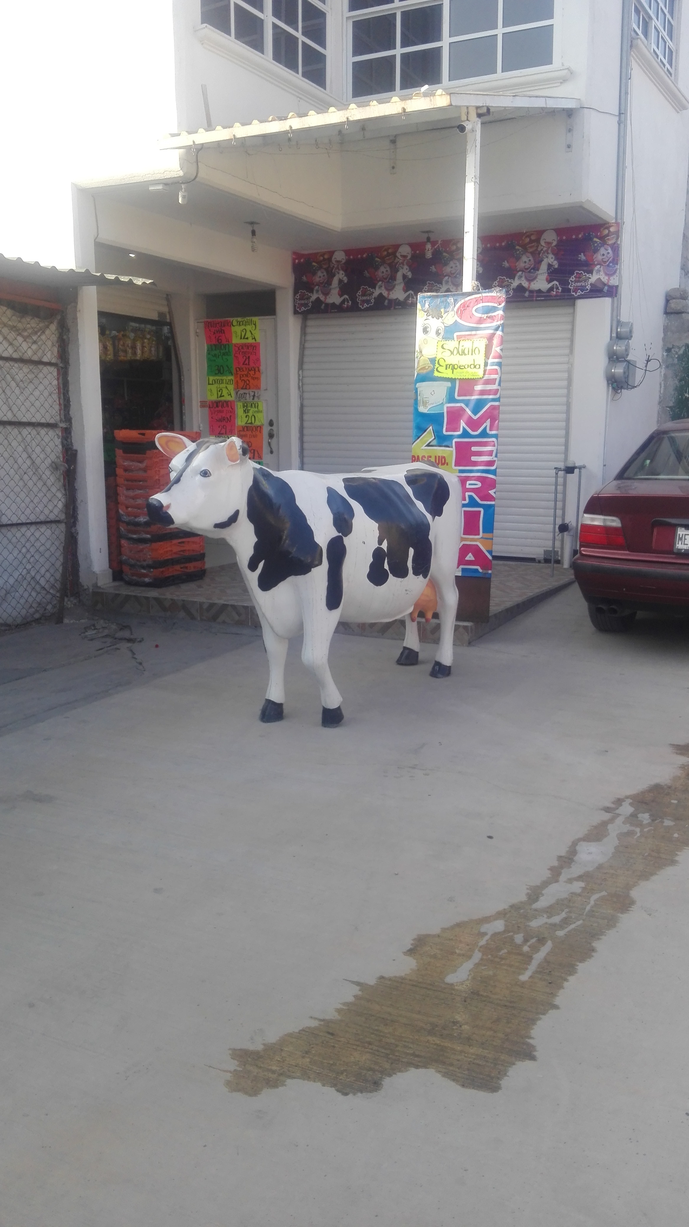 NUTRICION HERBALIFE image 7