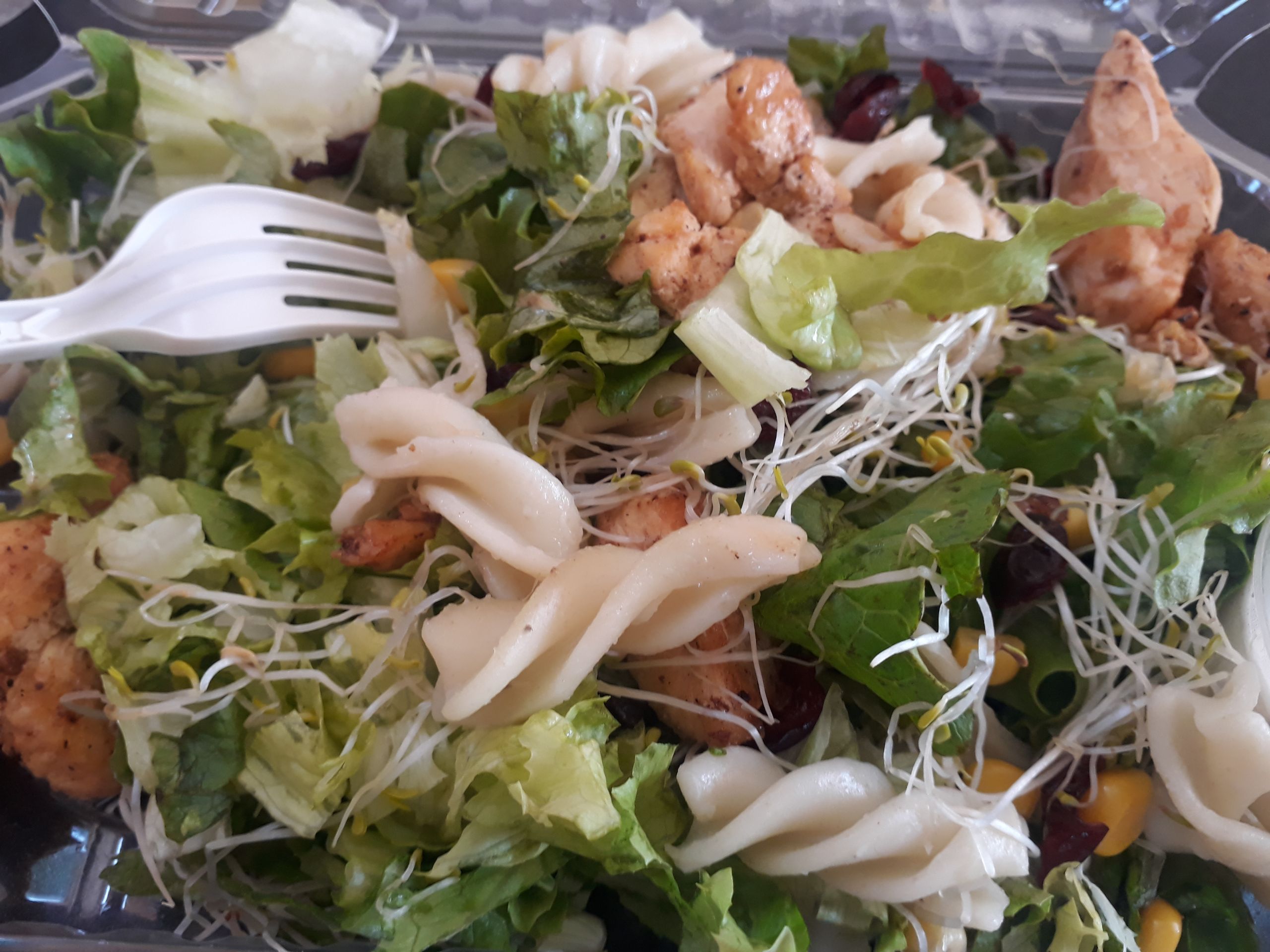 Zonna Verde Ensaladas Y Pastes image 4