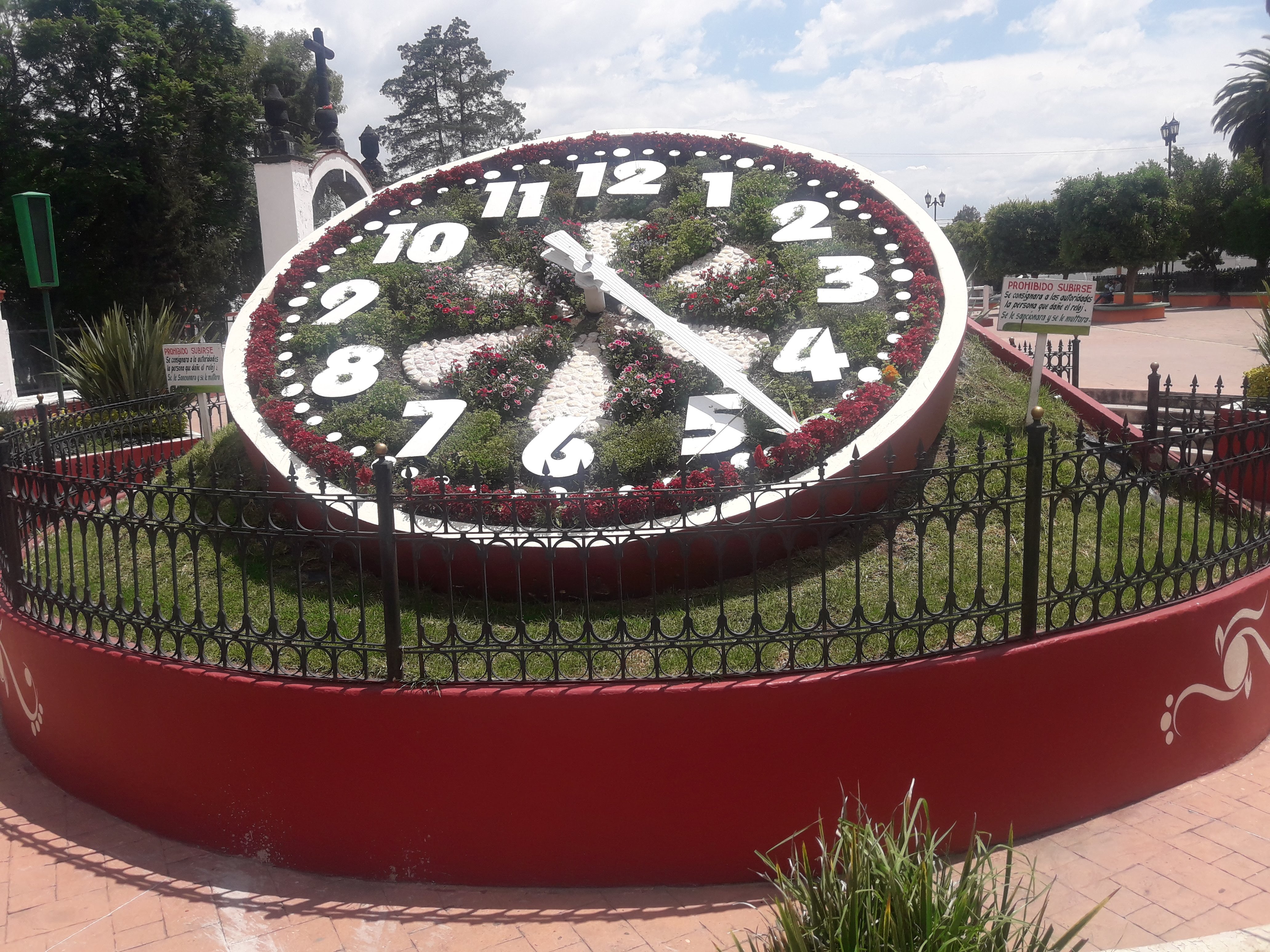 Pizzas Don George image 5