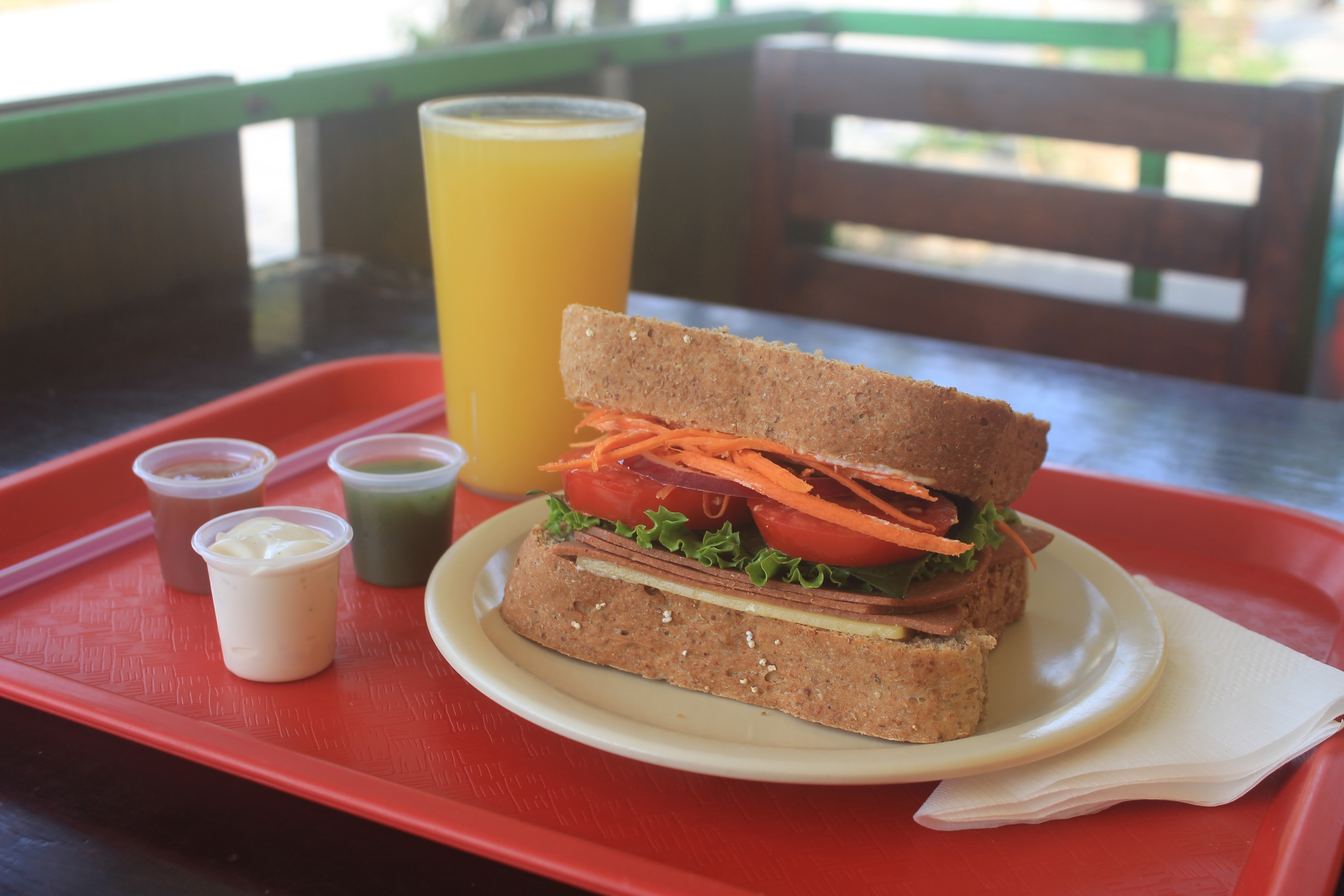 jugos Rsoria image 8