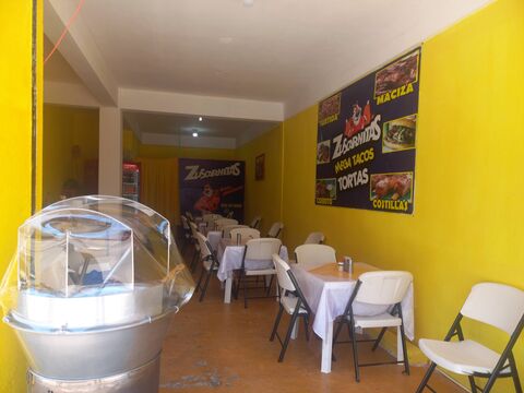 Zuscarnitas ACAYUCAN image 1