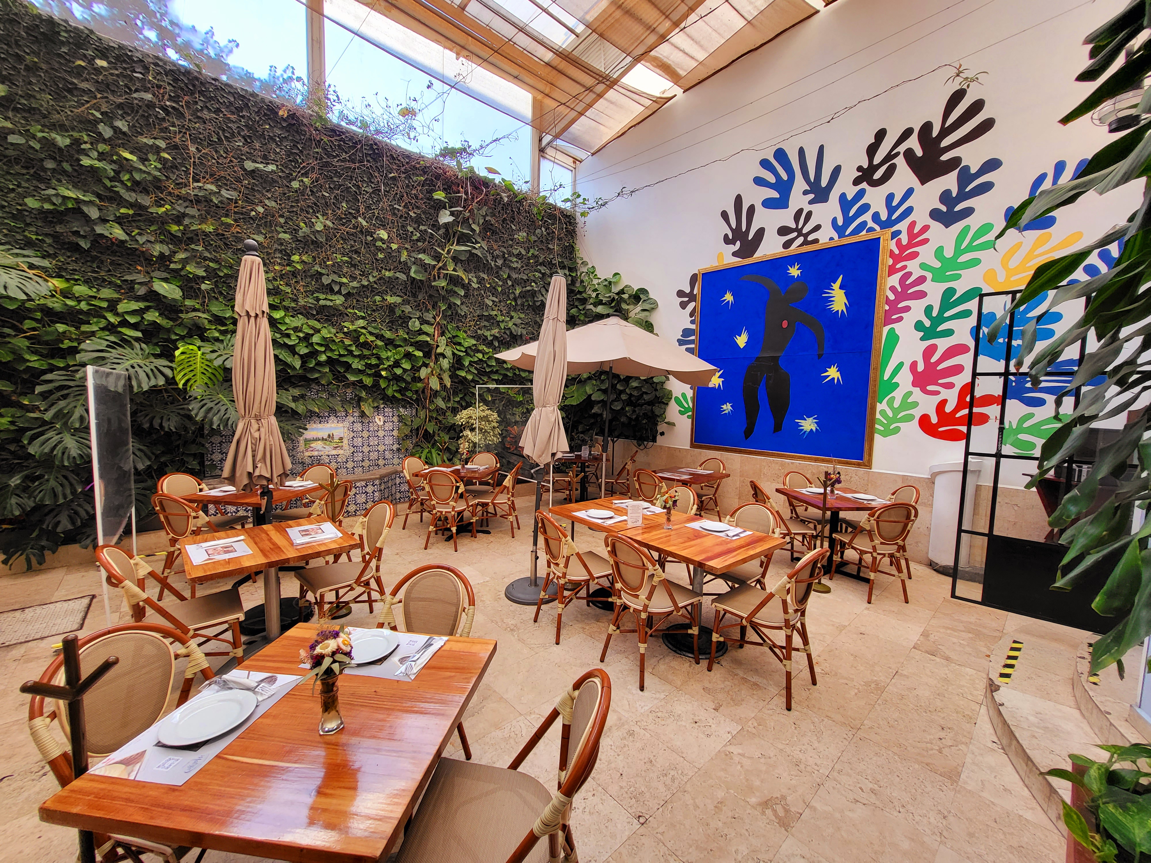 Matisse Polanco image 1