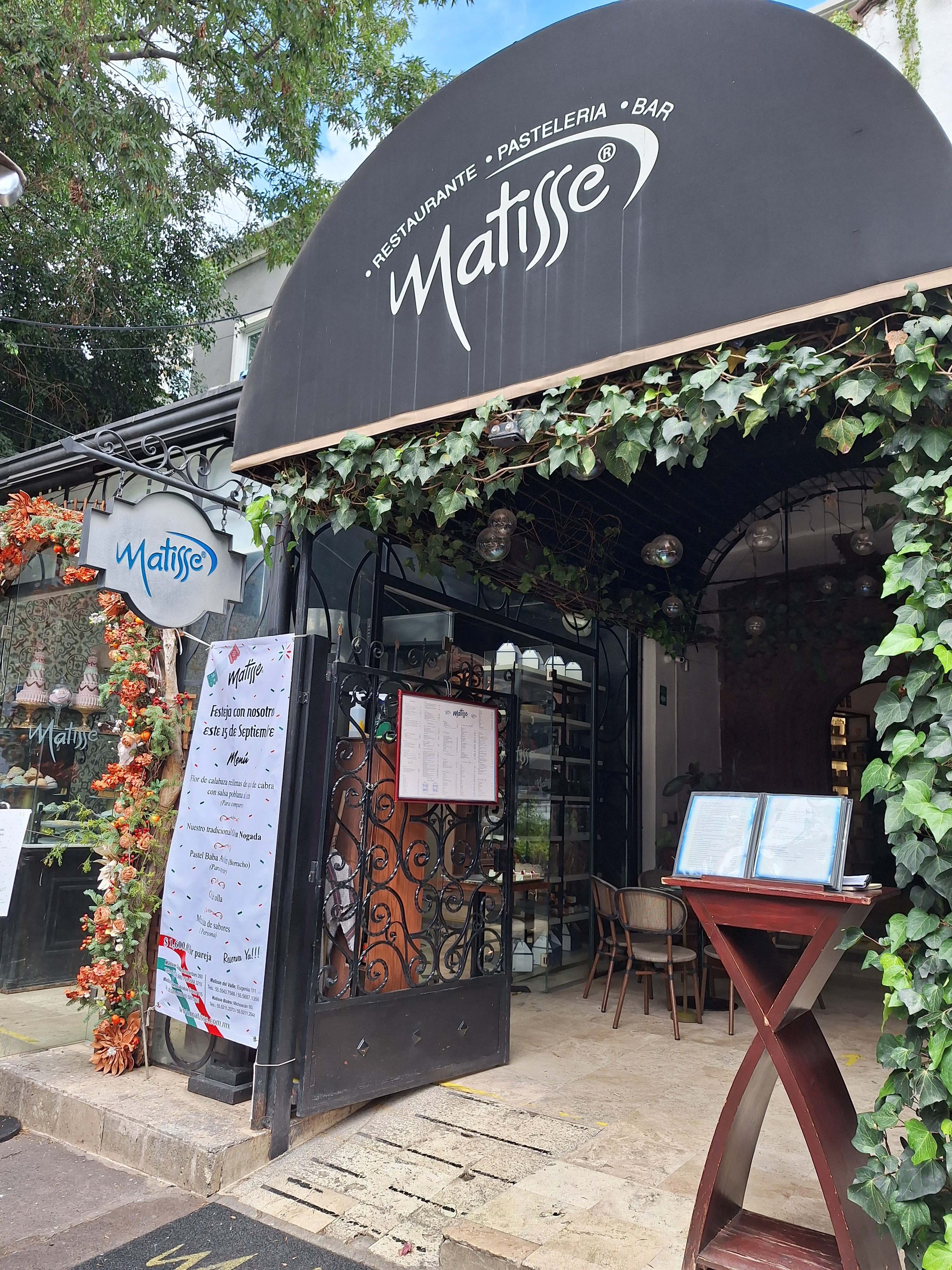 Matisse Polanco image 5