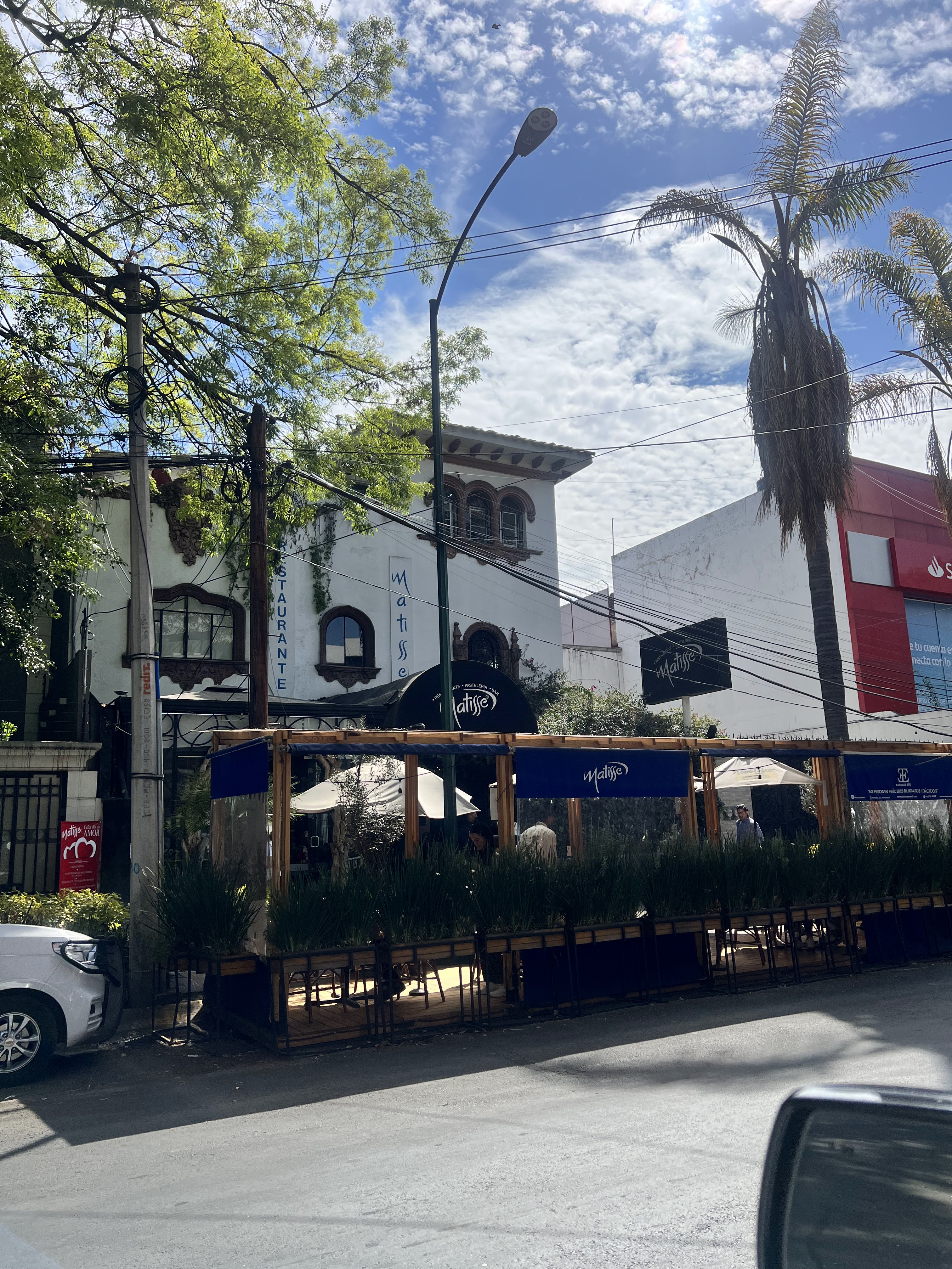 Matisse Polanco image 6