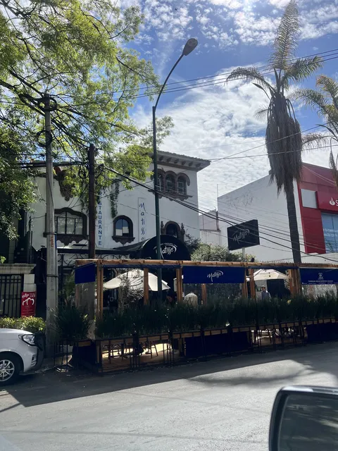 Matisse Polanco image 6