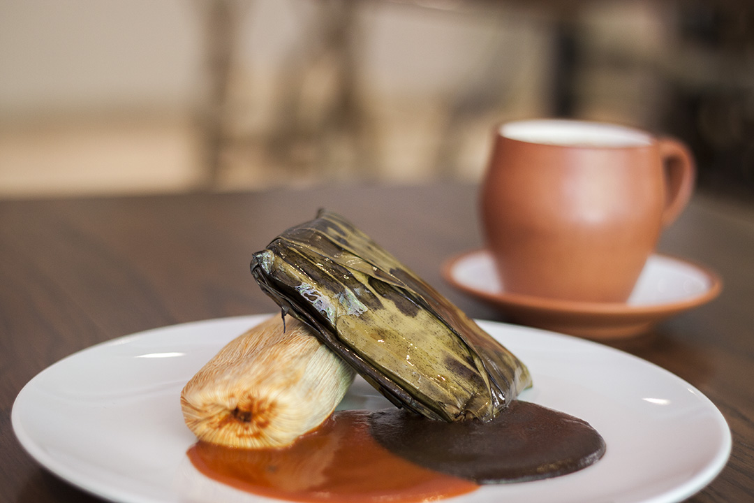 Guzina Oaxaca image 7