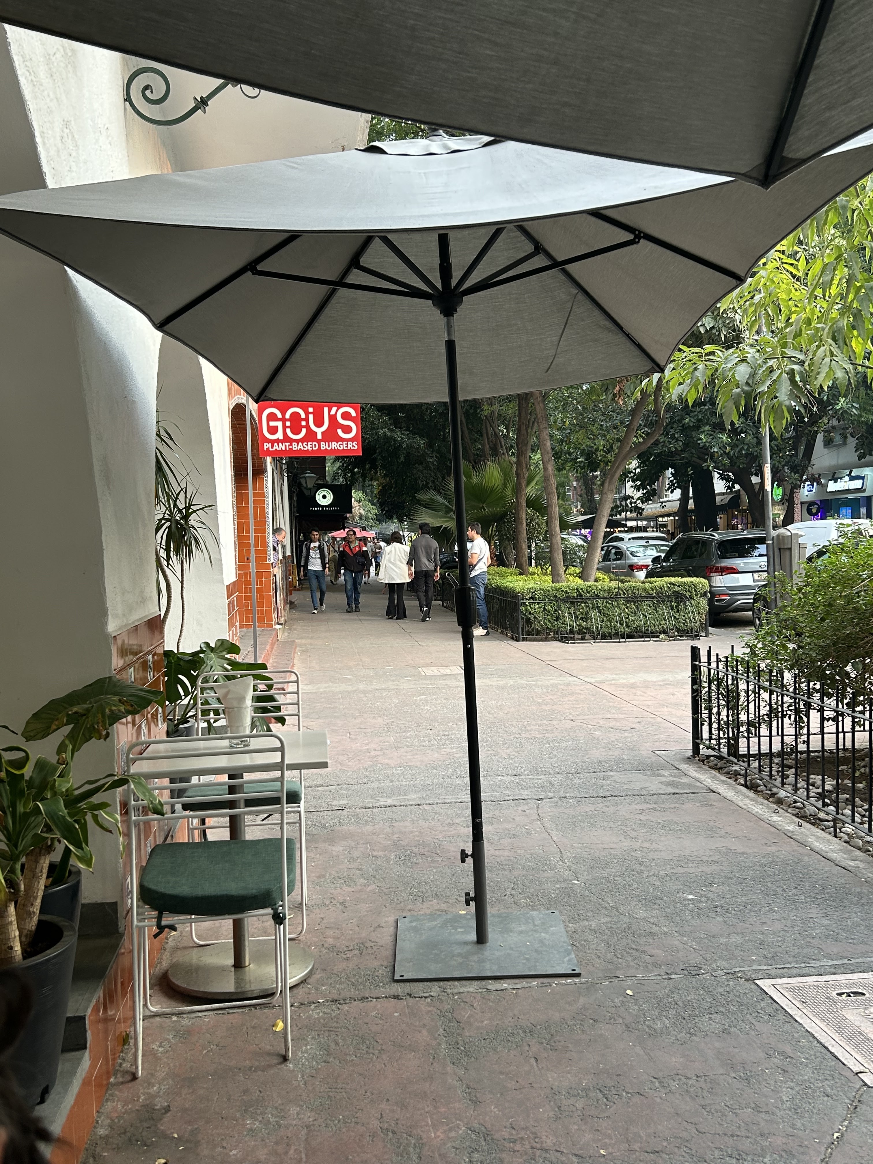 Café Goy’s Plant-Based Polanco image 8