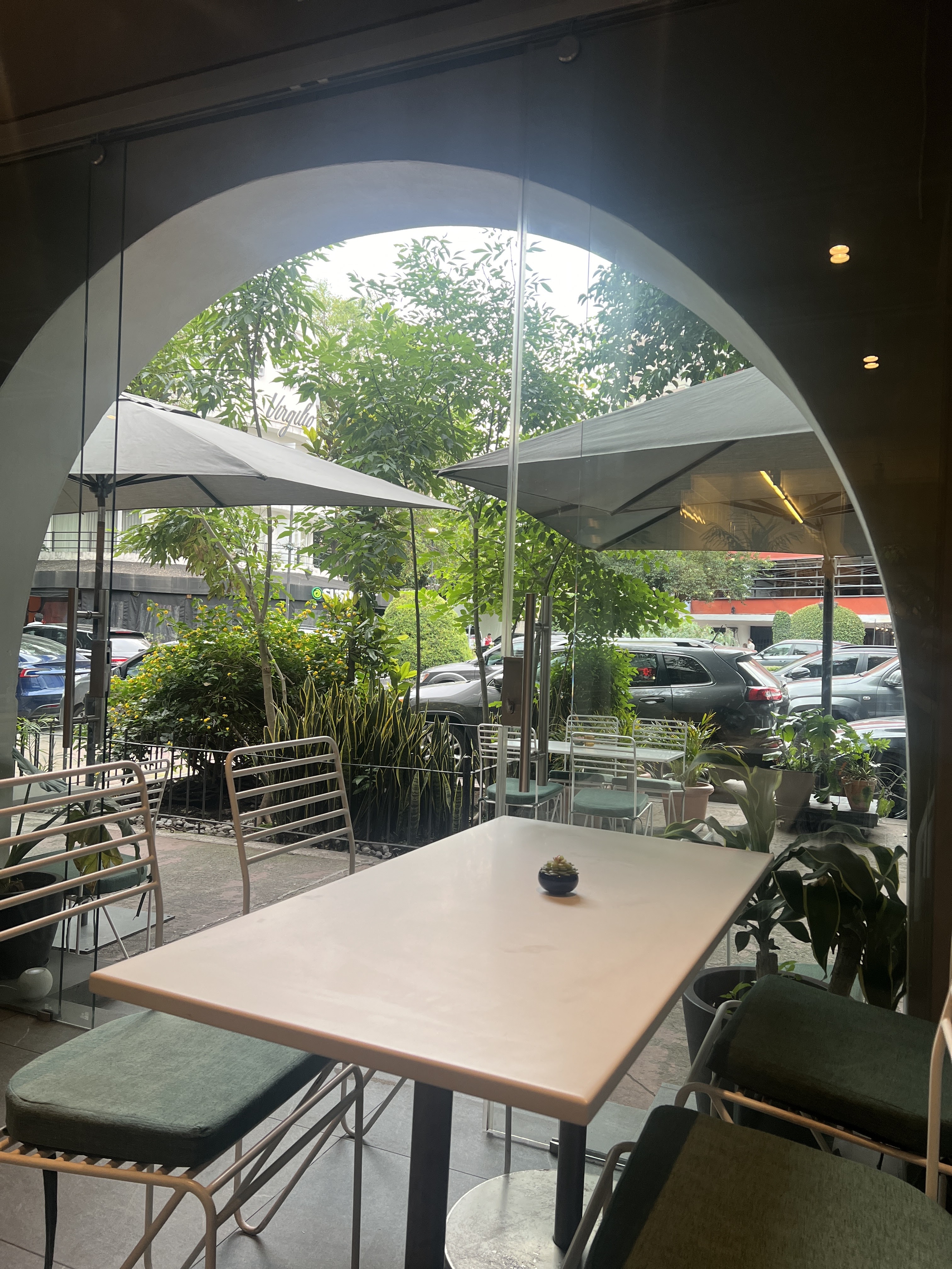 Café Goy’s Plant-Based Polanco image 9