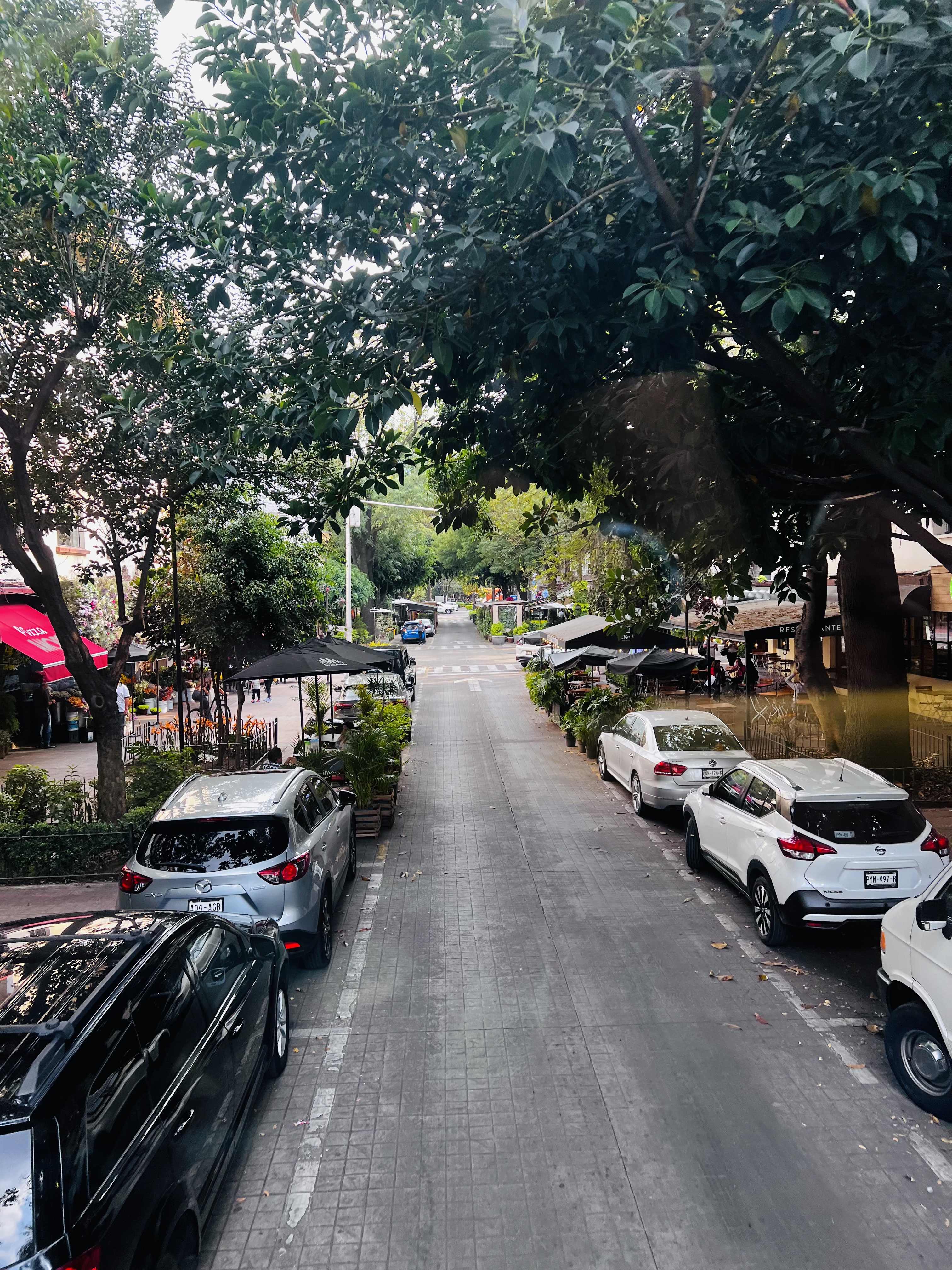 EL POLANQUITO image 2