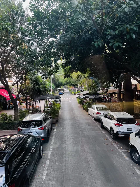 EL POLANQUITO image 2