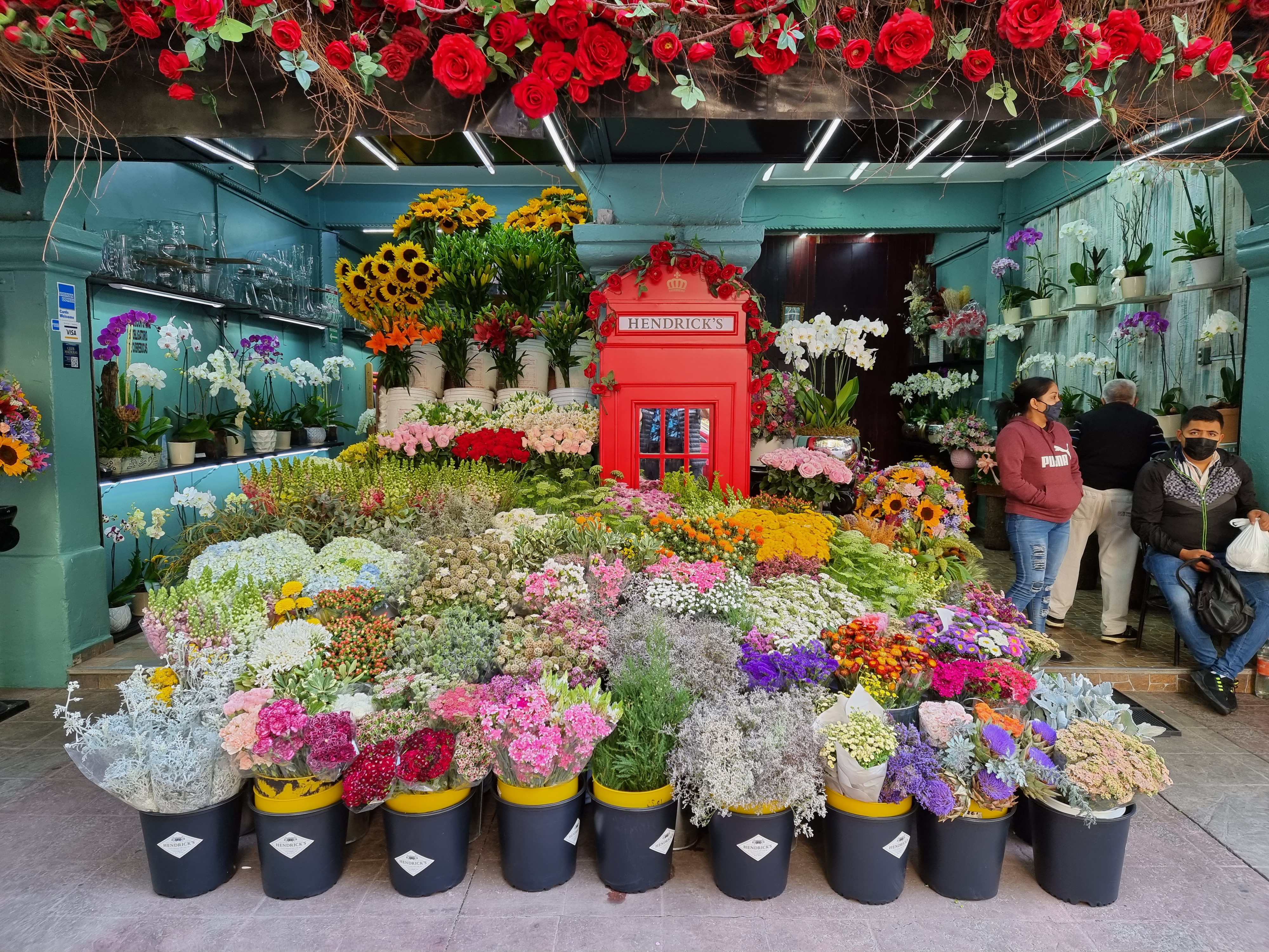 EL POLANQUITO image 8