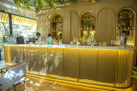 Mandolina Polanco image 1