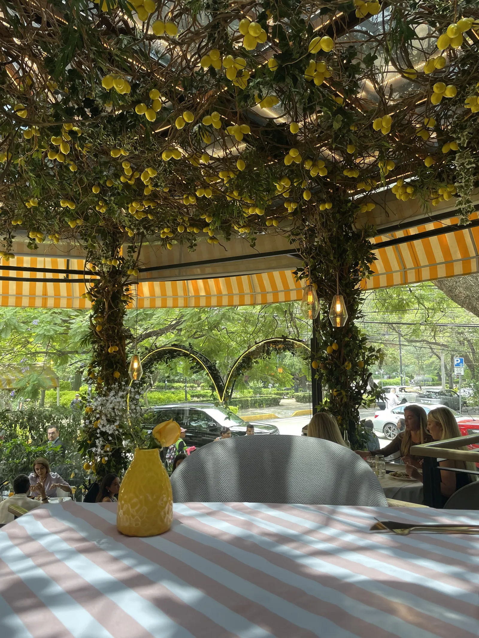 Mandolina Polanco image 7