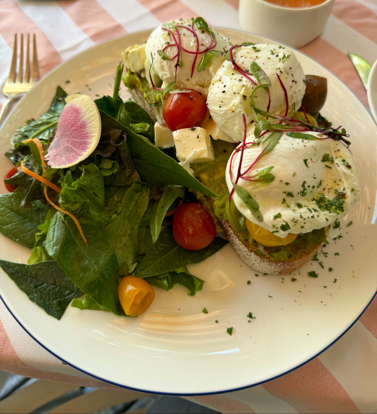 Mandolina Polanco image 9