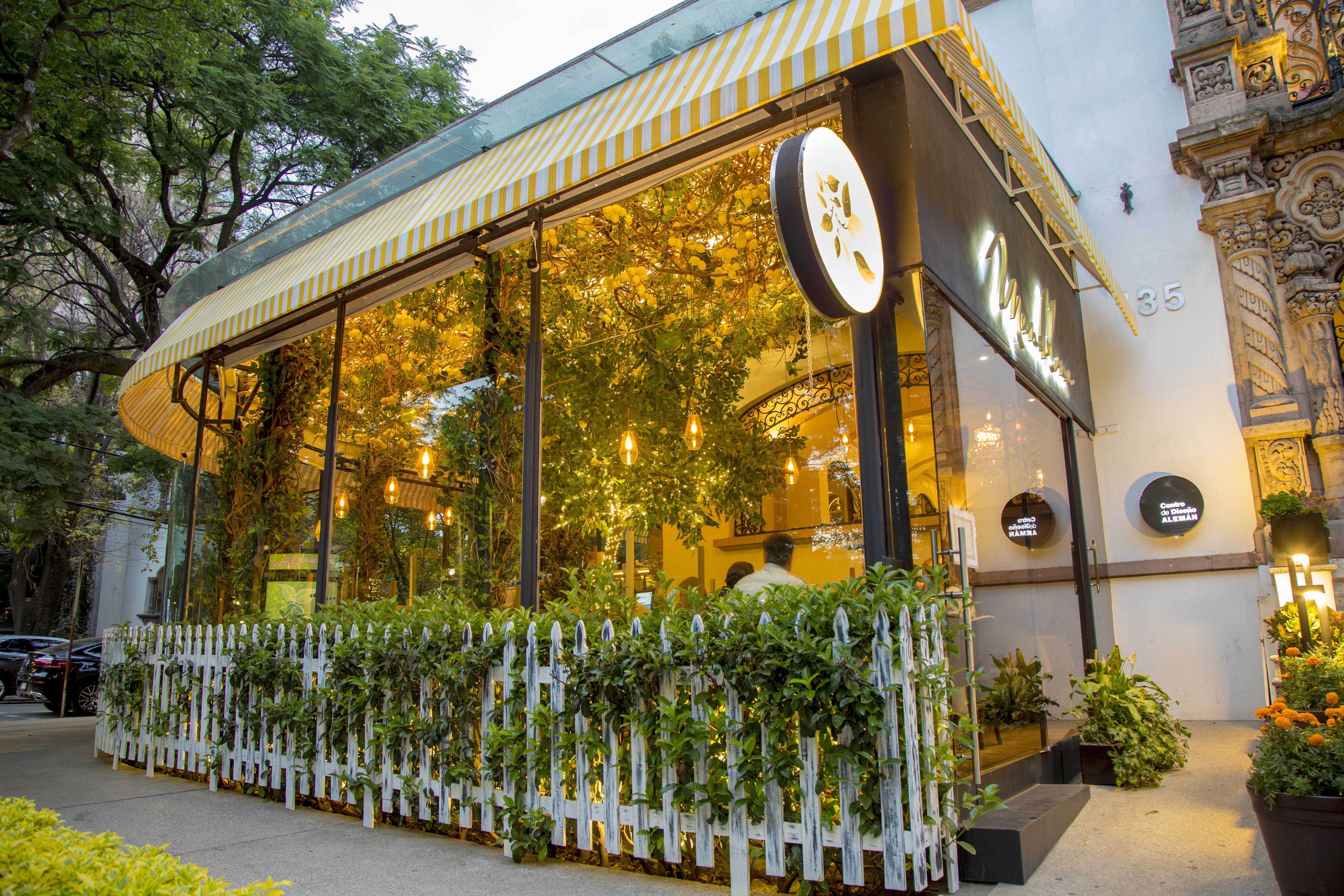 Mandolina Polanco image 10