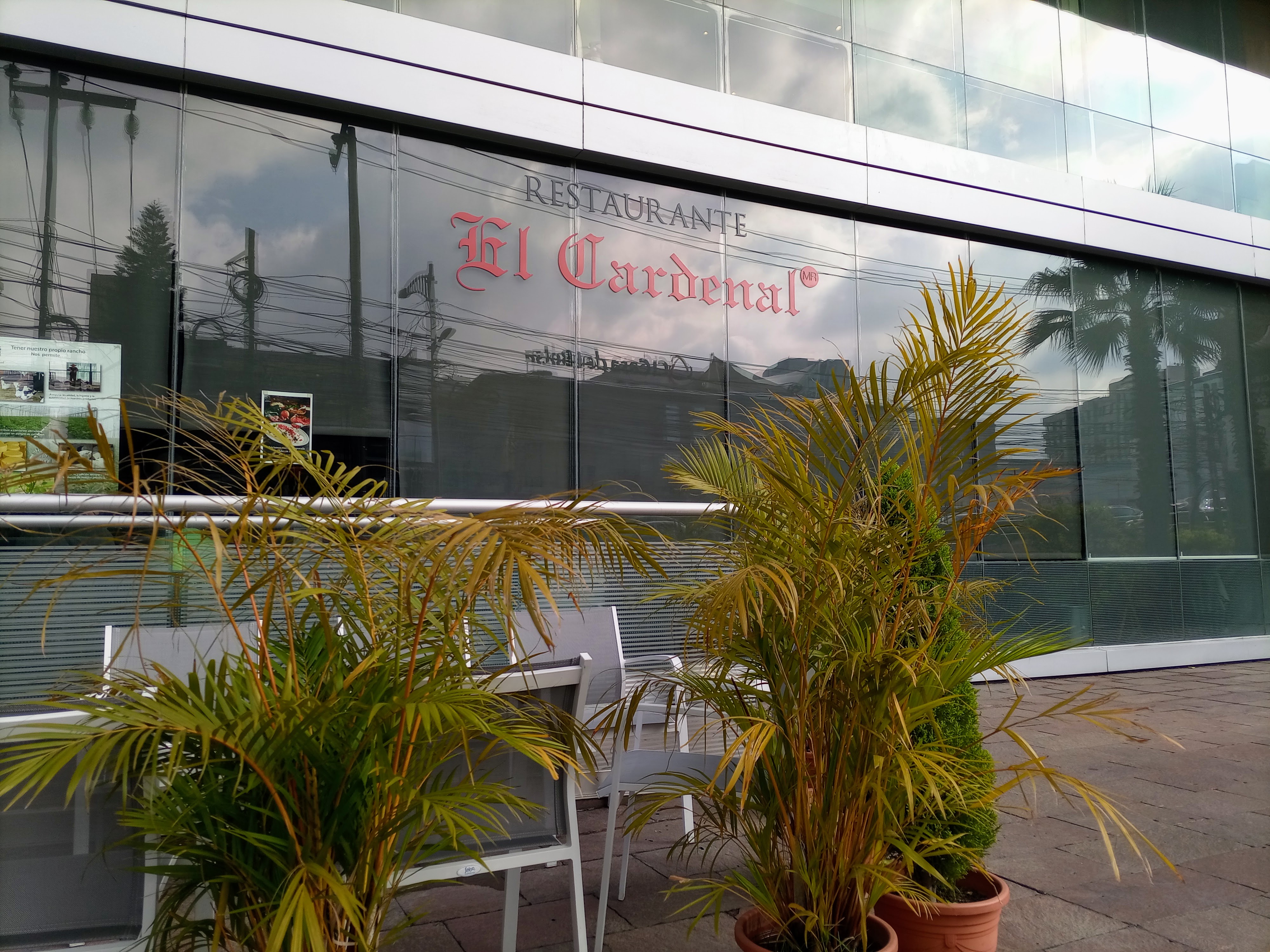 El Cardenal Lomas image 1