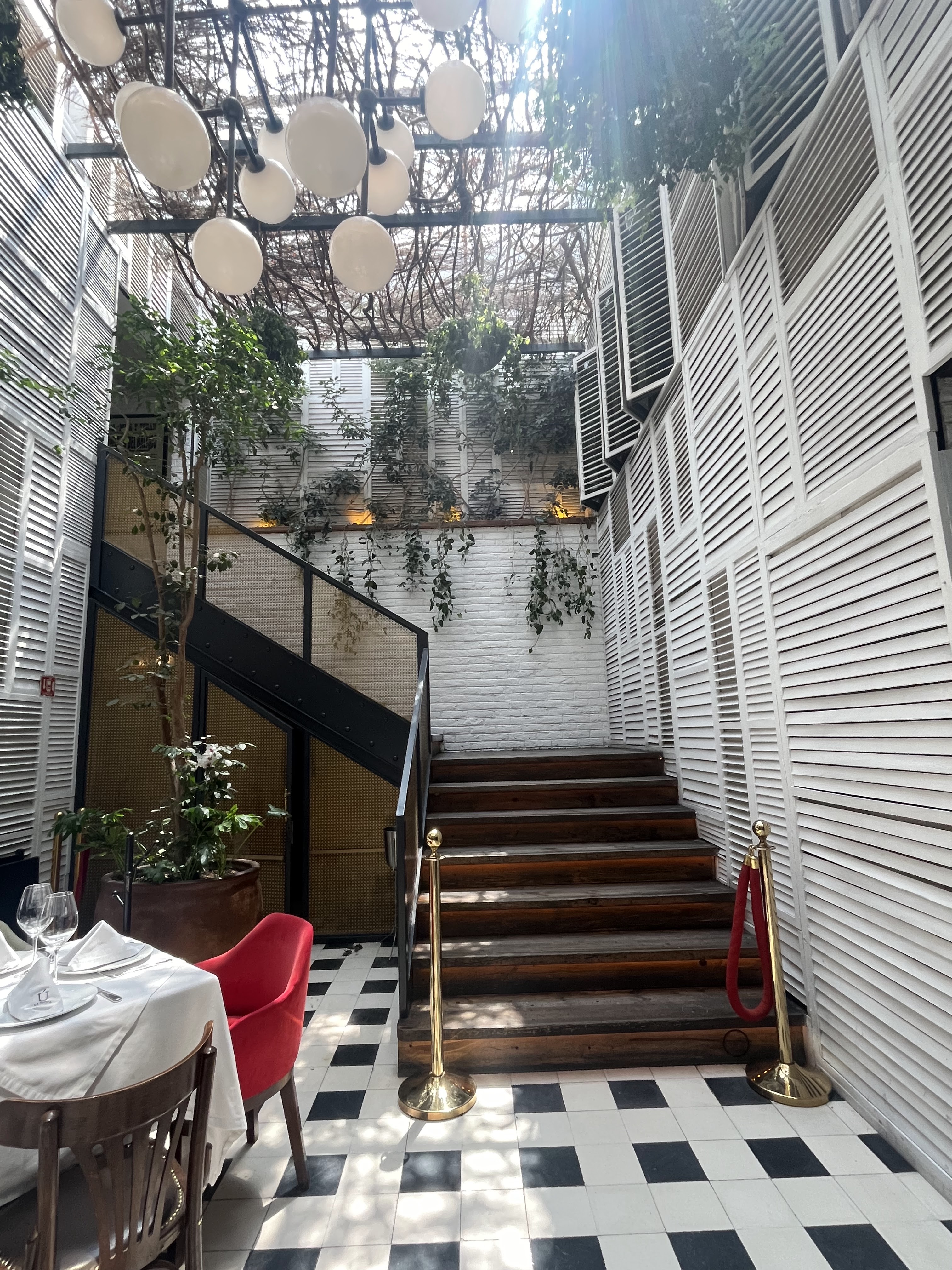 La Única CDMX image 8