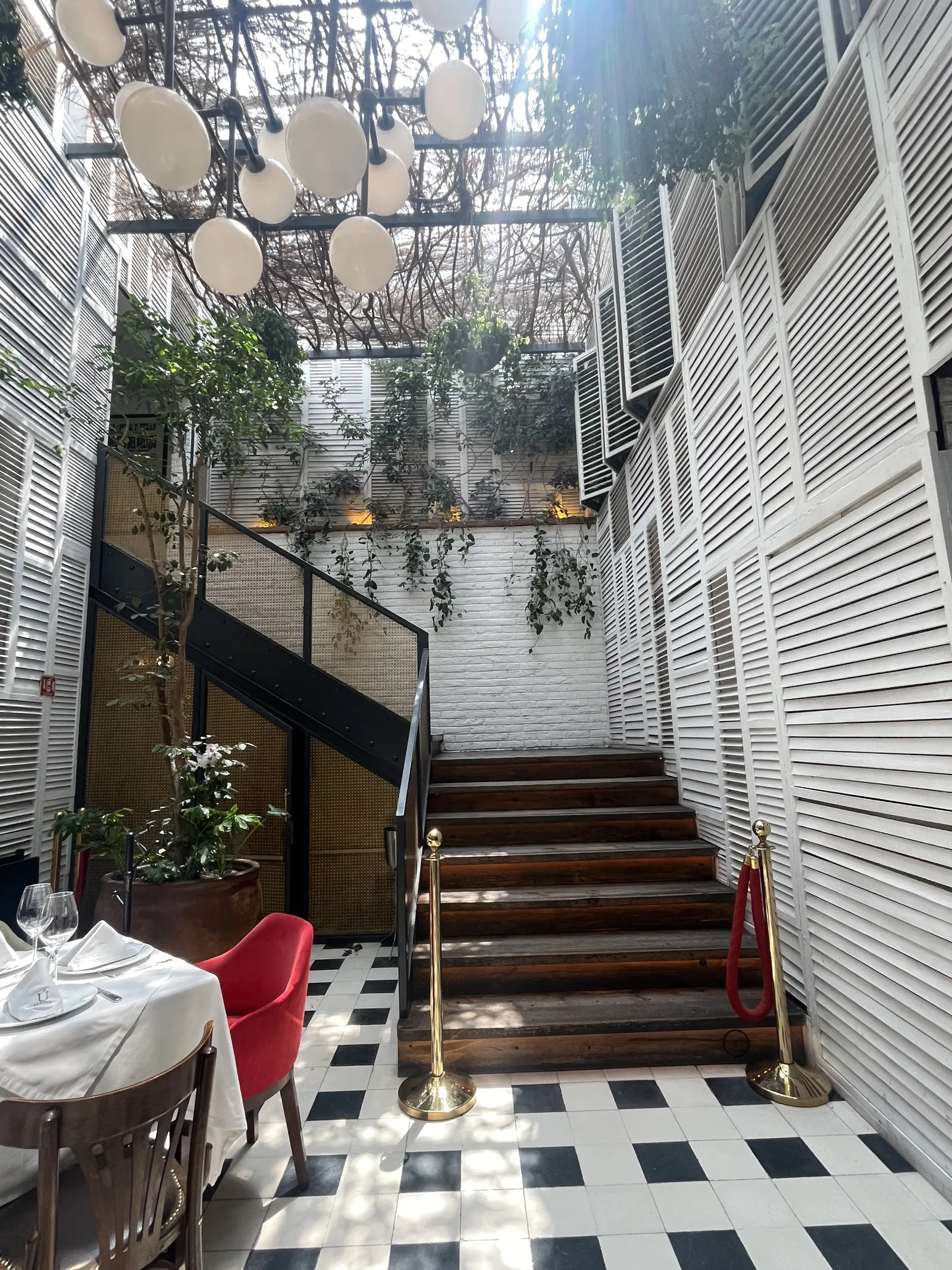 La Única CDMX image 8