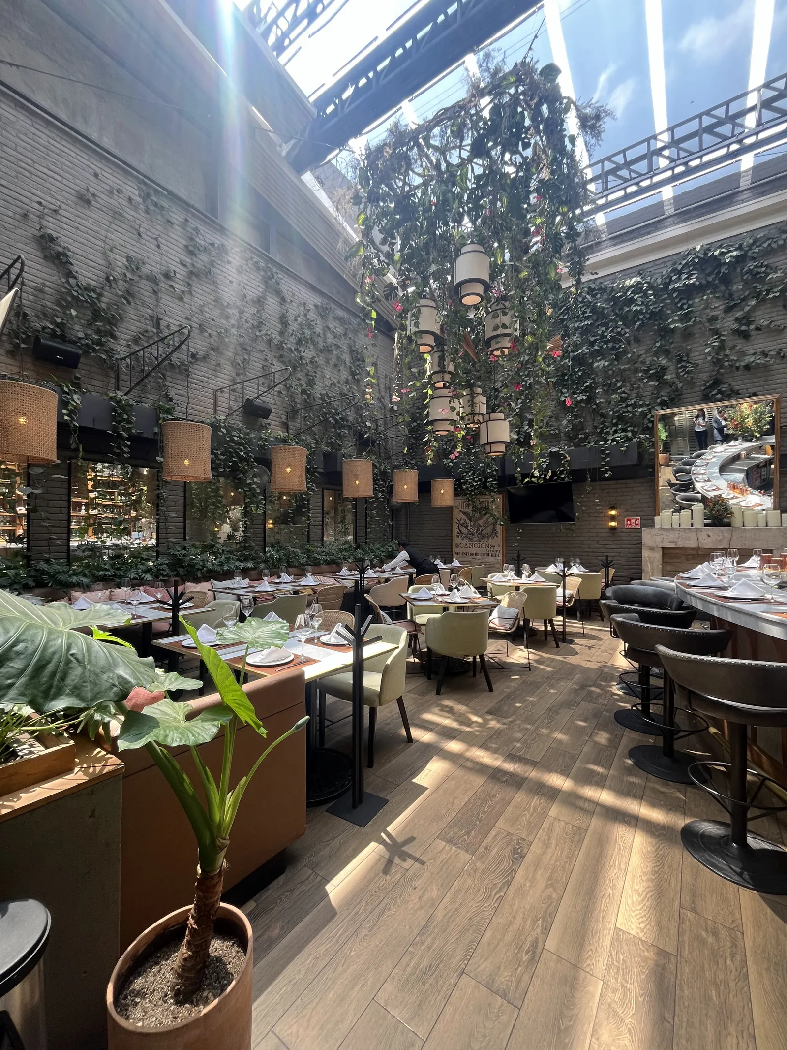 La Única CDMX image 9