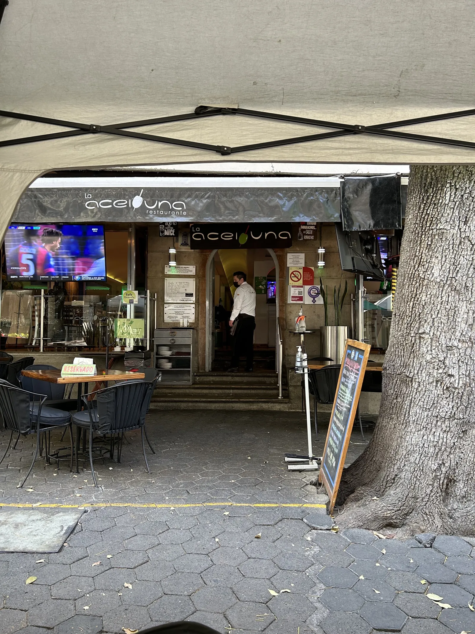 La Aceituna image 1