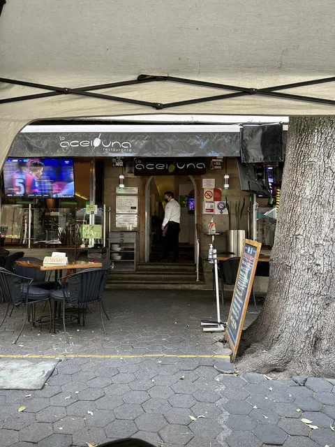 La Aceituna image 1