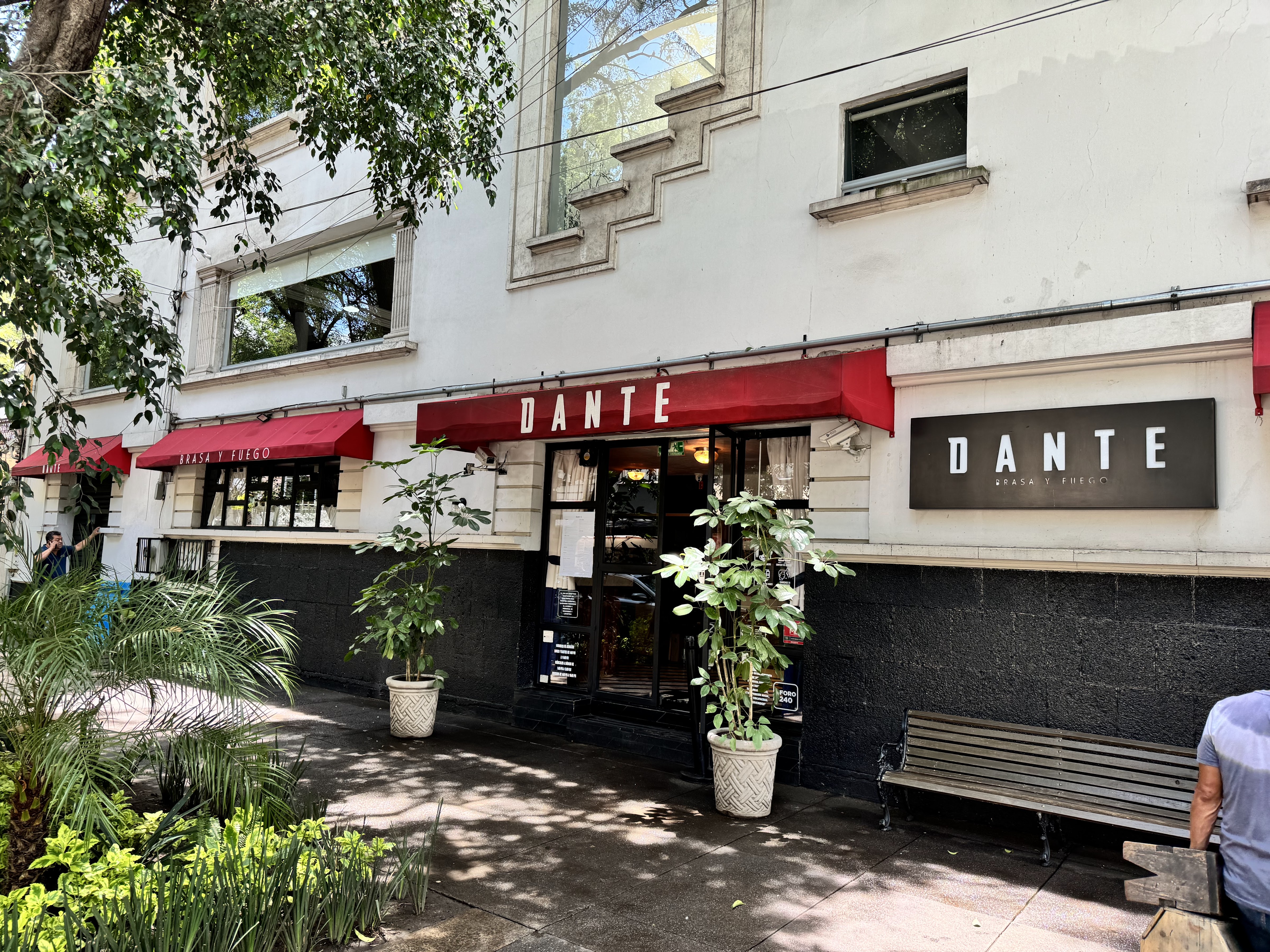 Dante Brasa y Fuego image 7