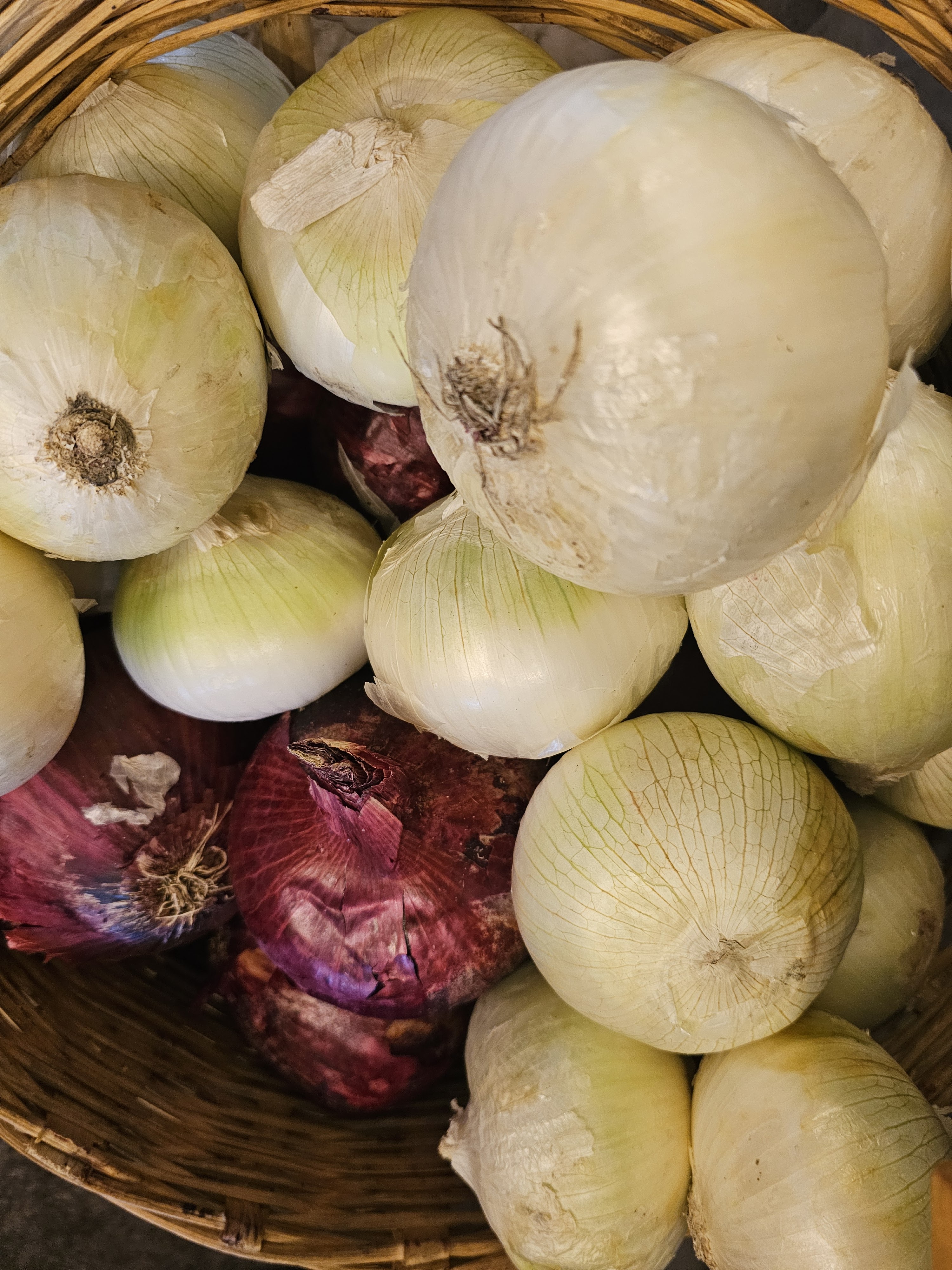 Ojo de Agua image 10