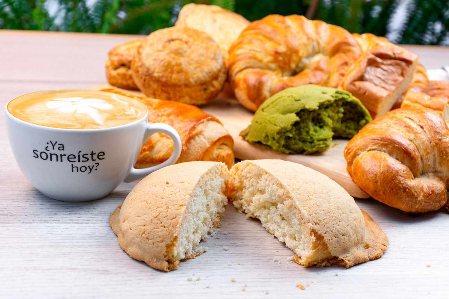 Giornale Ejército image 10