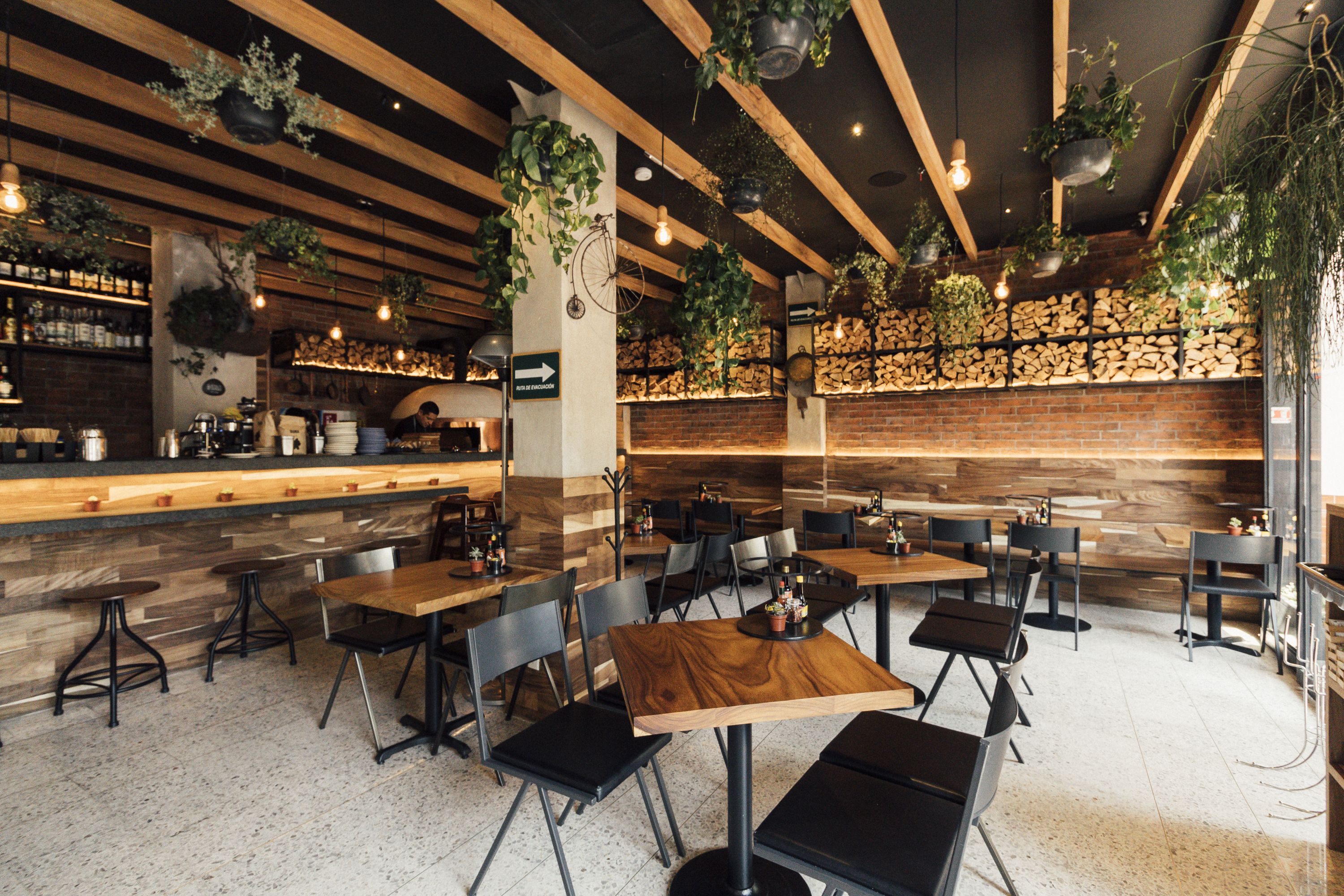 Cancino polanco image 1