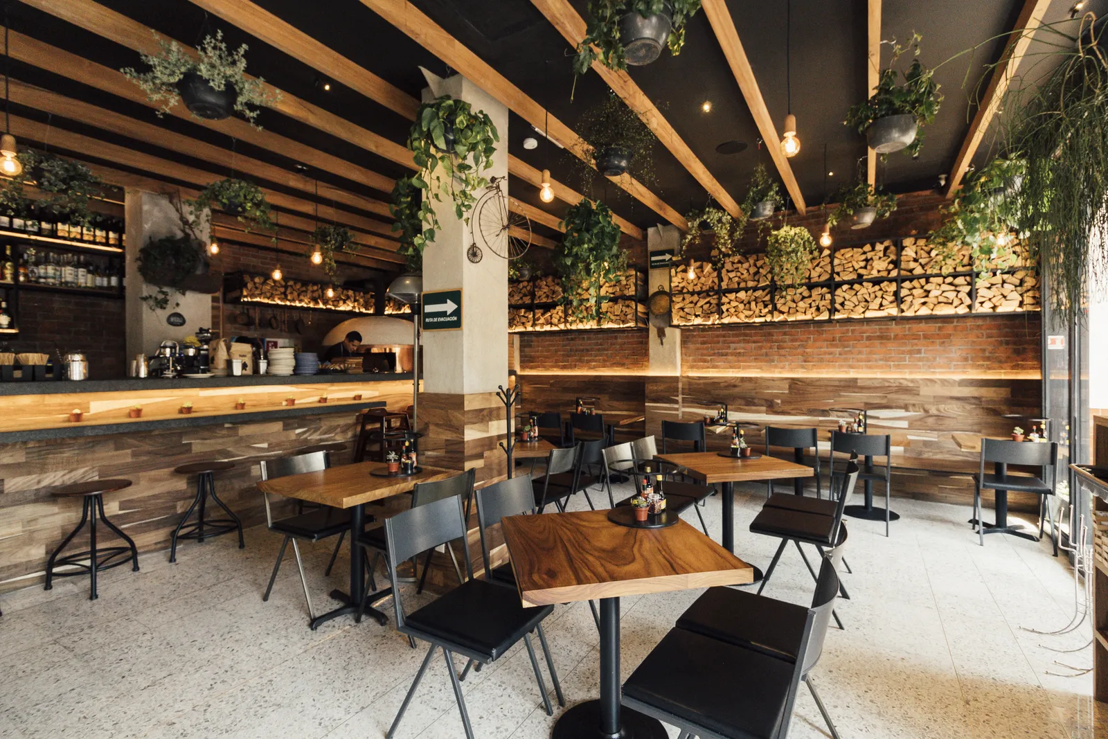Cancino polanco image 1
