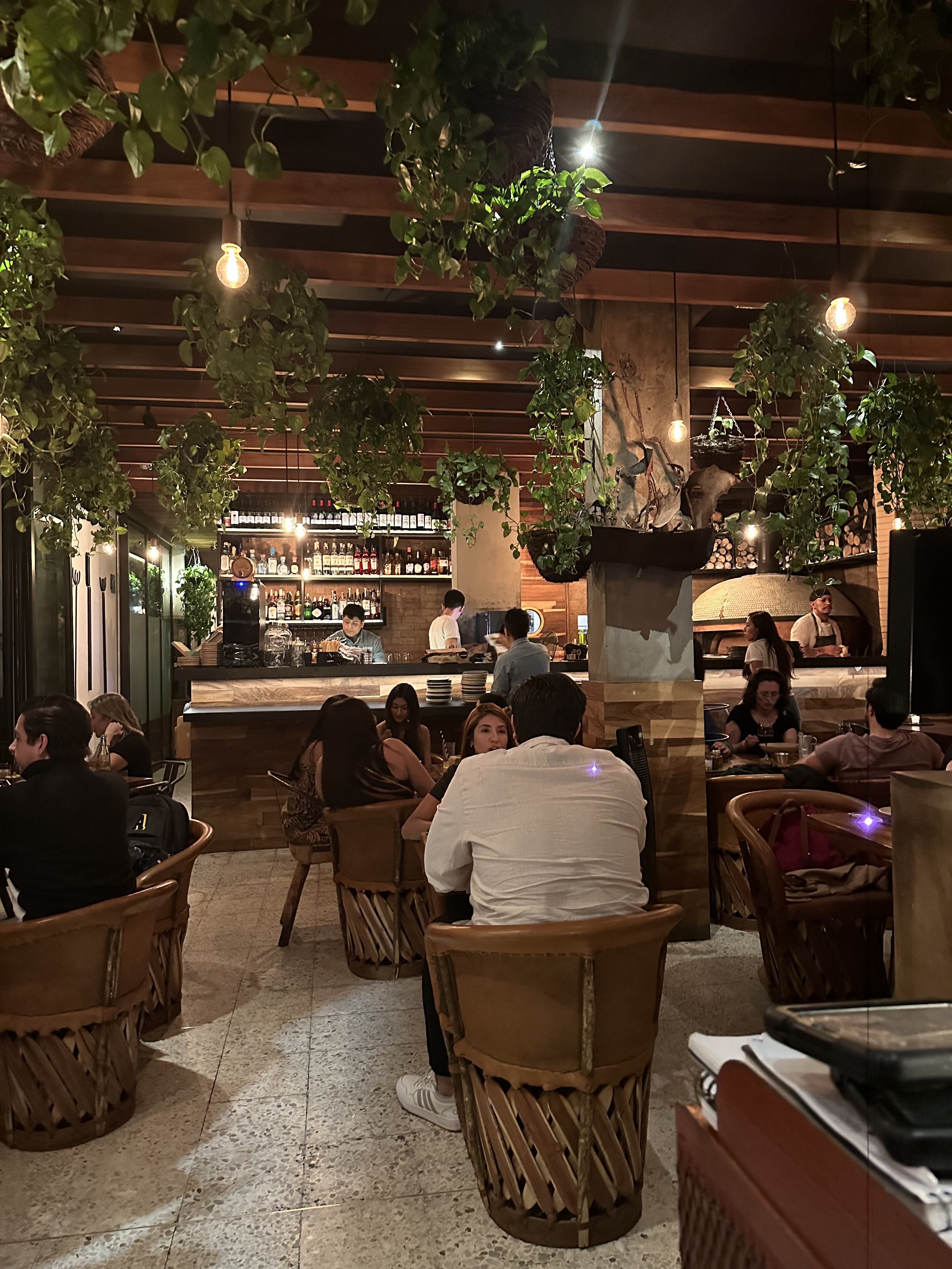 Cancino polanco image 5