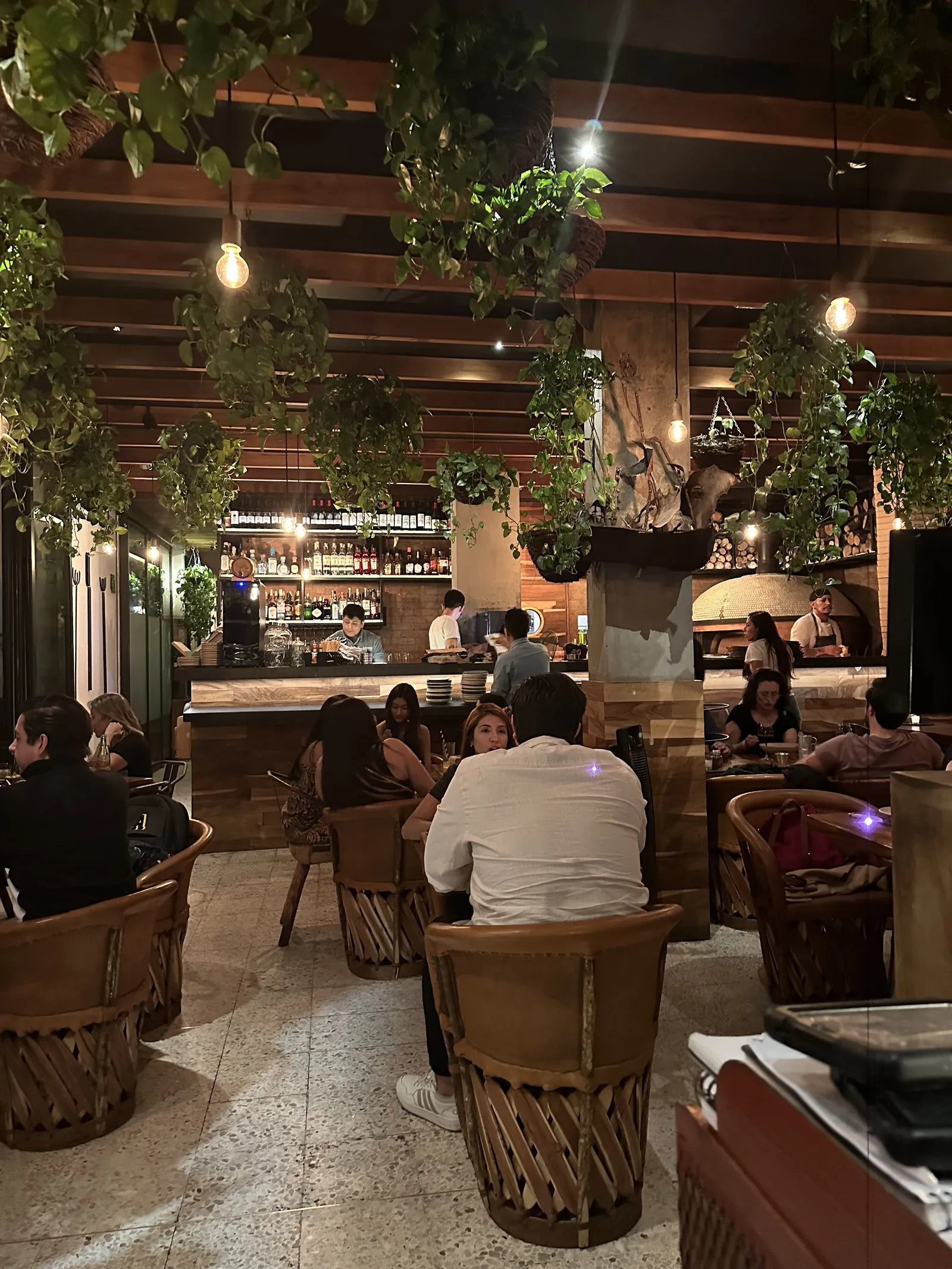 Cancino polanco image 5