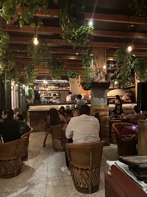 Cancino polanco image 5