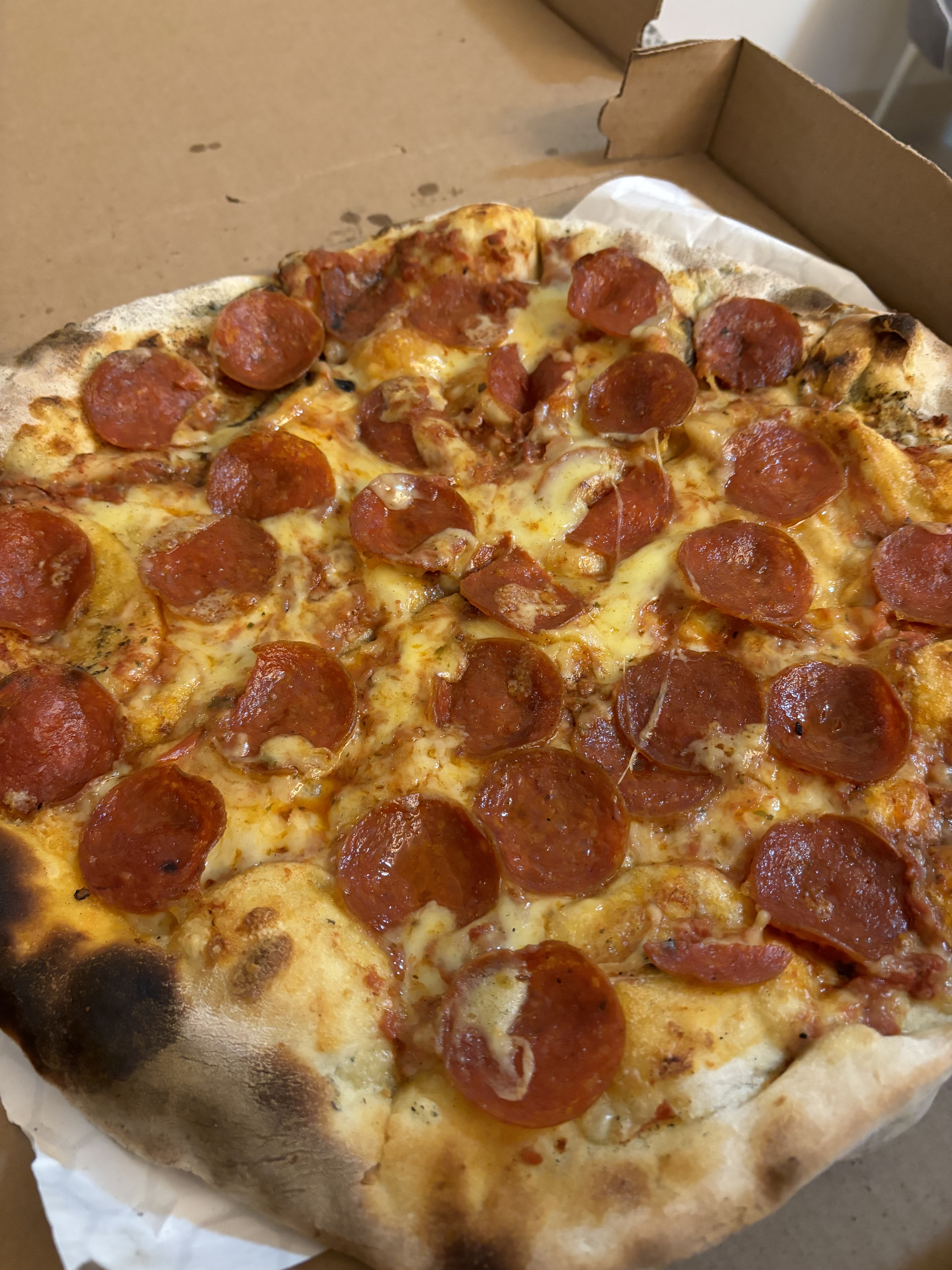 Cancino polanco image 7