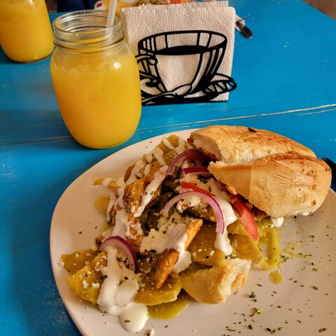 Blue House image 4