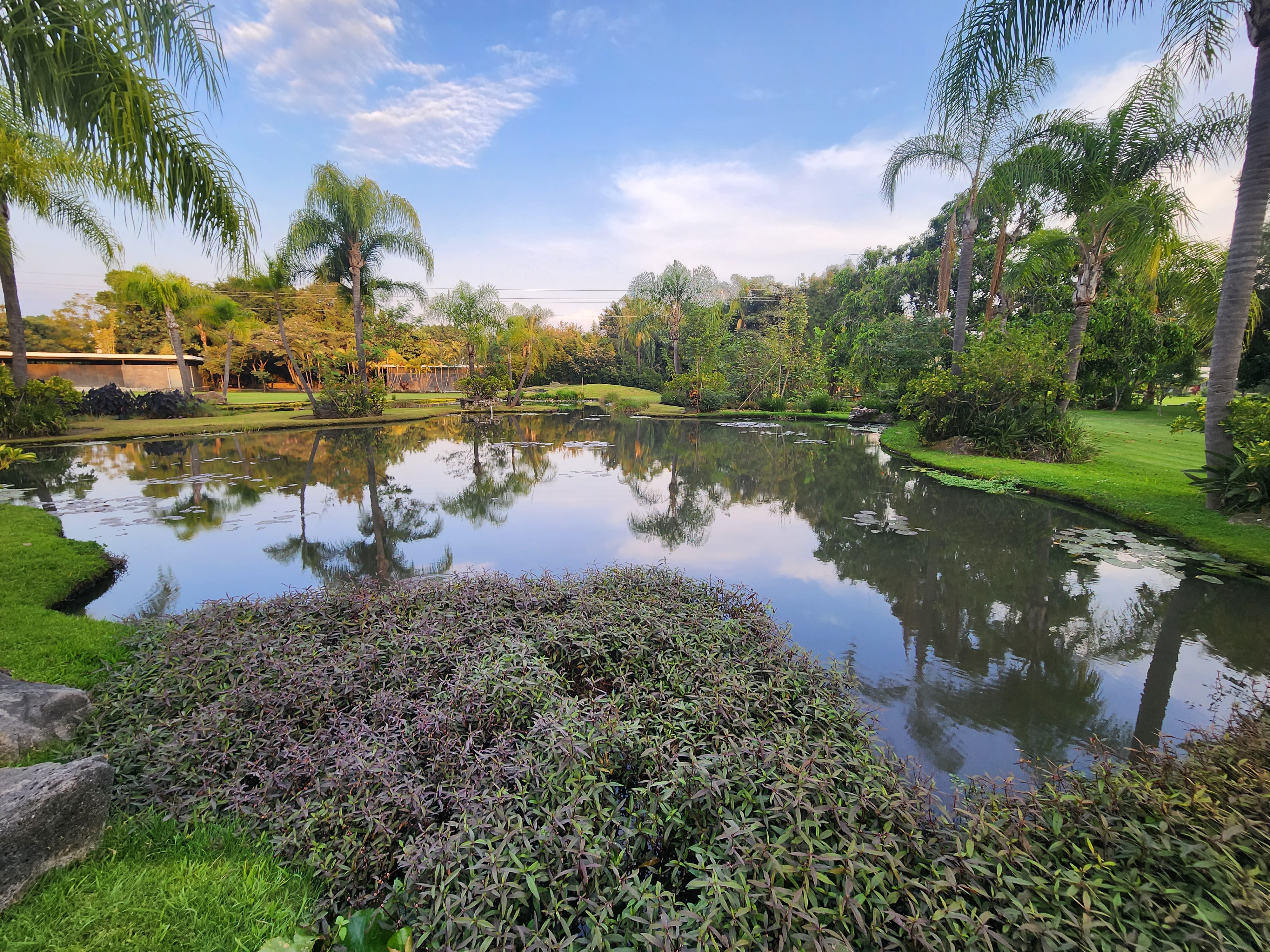 Restaurante Huayacán image 4