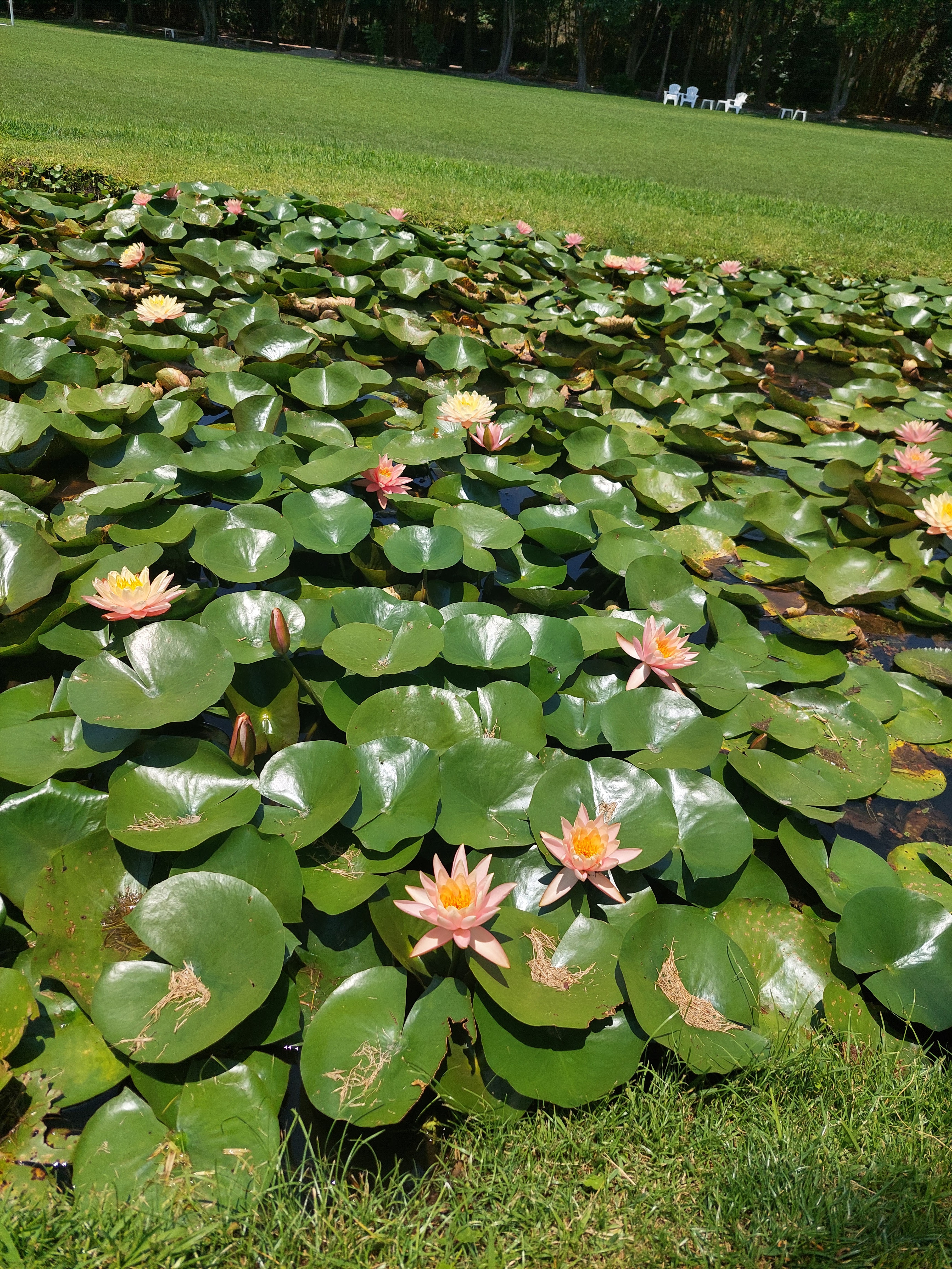 Restaurante Huayacán image 5
