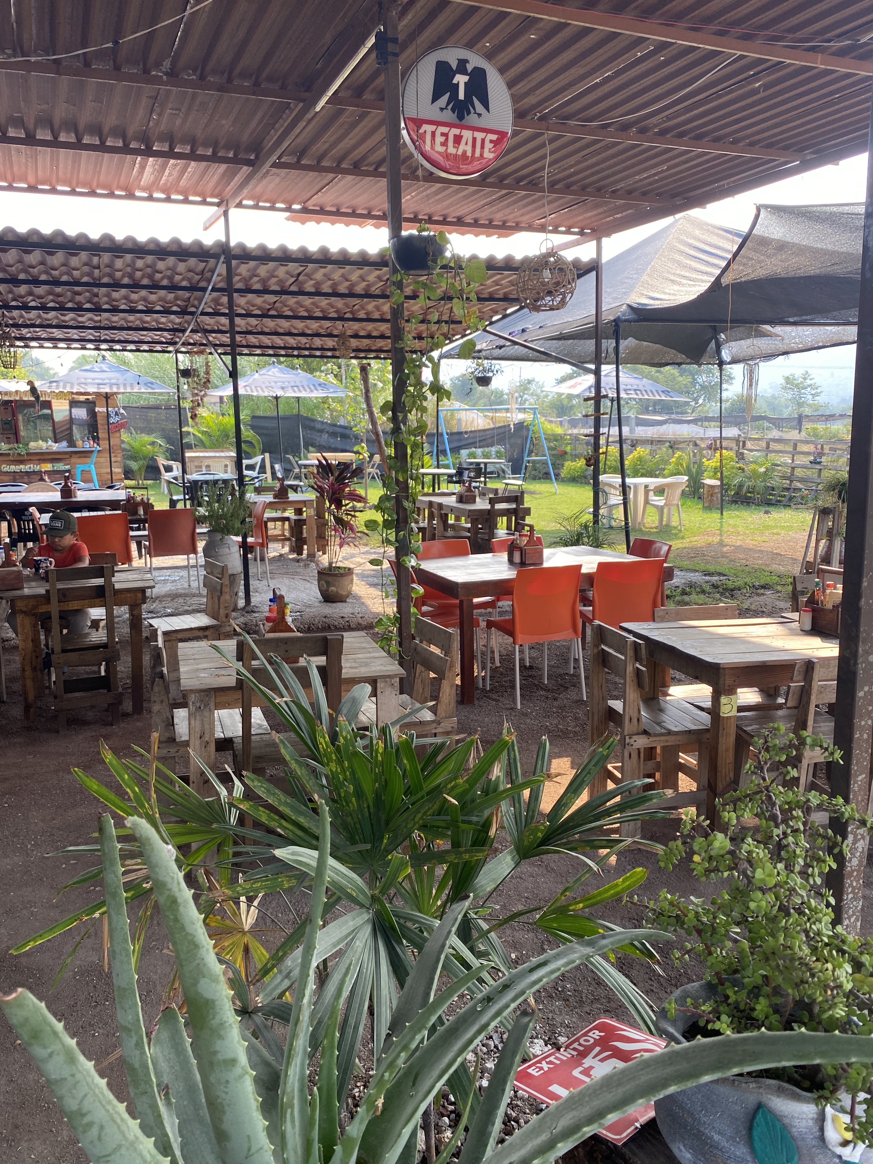 Mariscos El Guamuchilito image 1